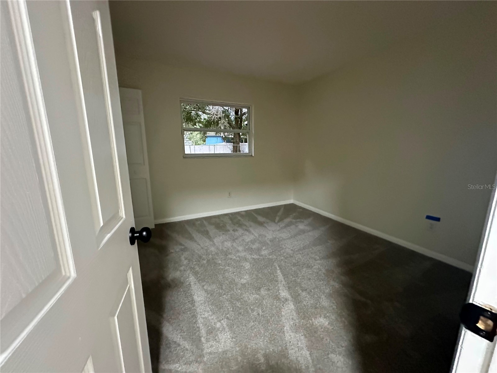 22360 Stillwood Drive Land O Lakes FL 34639 TB8529366 image10