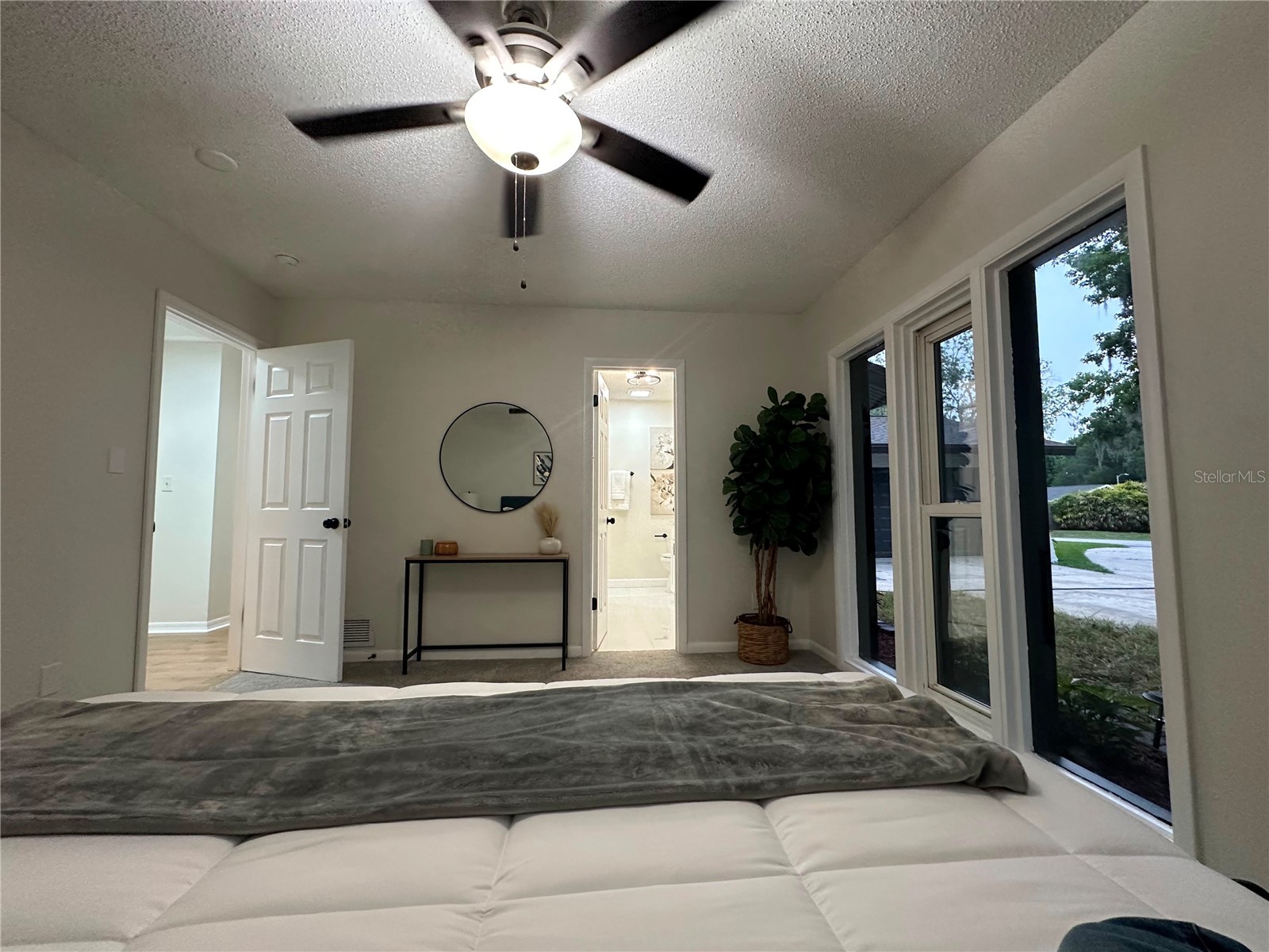 22360 Stillwood Drive Land O Lakes FL 34639 TB8529366 image16