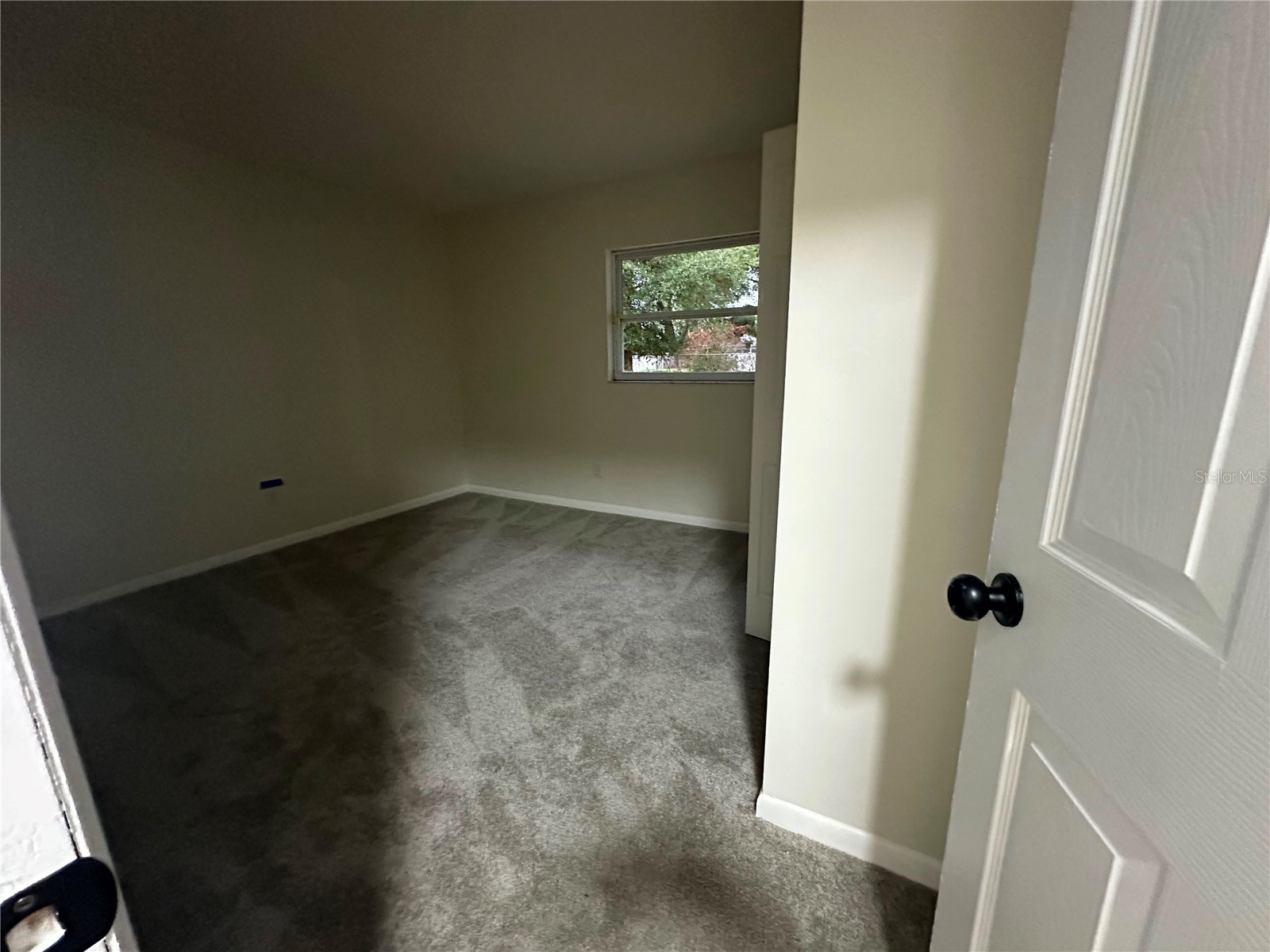 22360 Stillwood Drive Land O Lakes FL 34639 TB8529366 image9