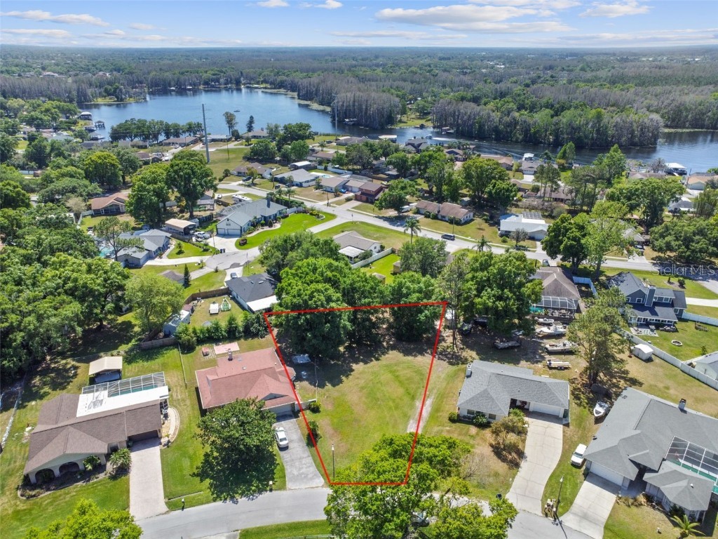 22364 Southshore Drive Land O Lakes FL 34639 U8194381 image1