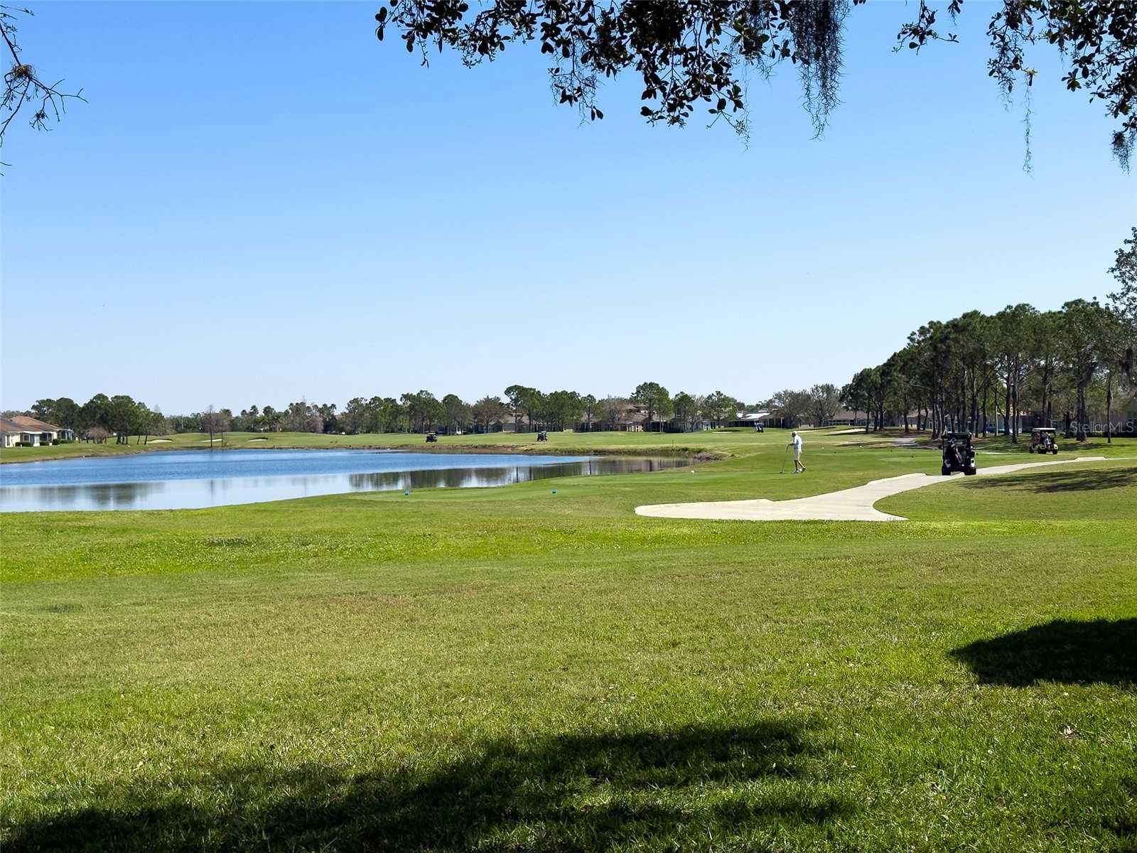 2237 Mayfield Palms Lane #2237 Sun City Center FL 33573 TB8417754 image33