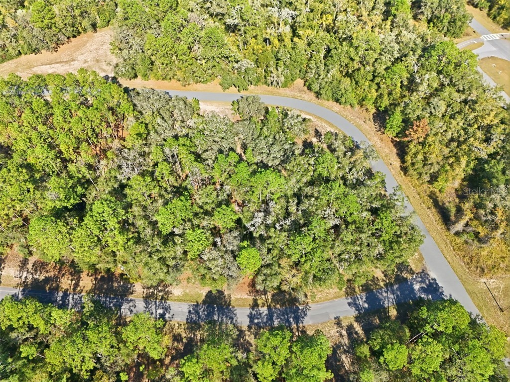 2237 W Striblin Drive Citrus Springs FL 34434 G5104707 image2