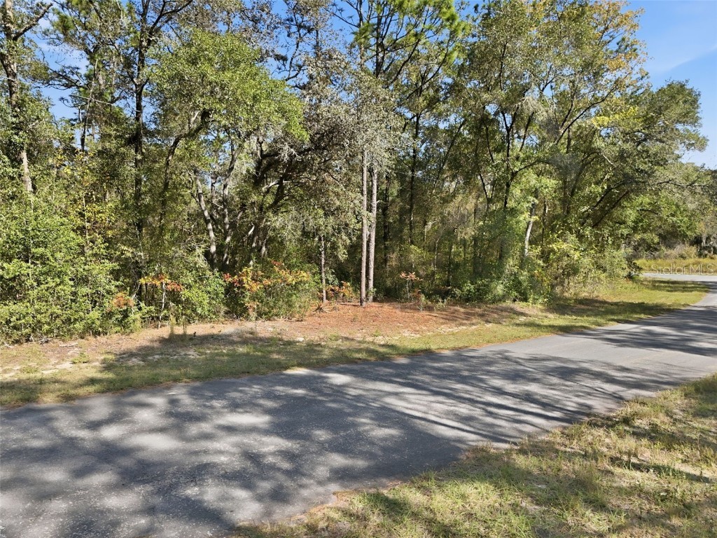 2237 W Striblin Drive Citrus Springs FL 34434 G5104707 image6