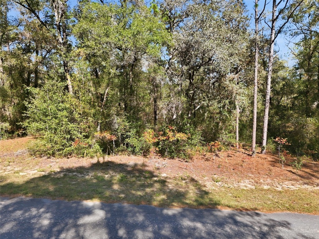 2237 W Striblin Drive Citrus Springs FL 34434 G5104707 image7