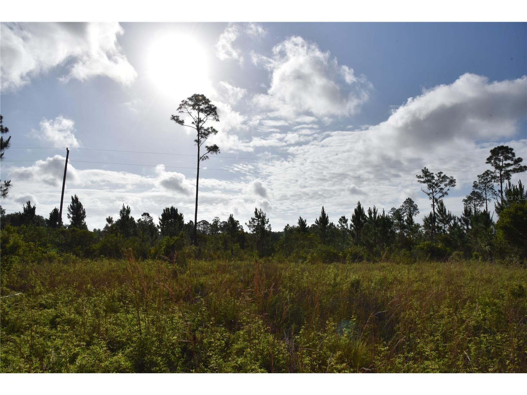 22370 NE 130th Avenue Fort Mc Coy FL 32134 OM725577 image1