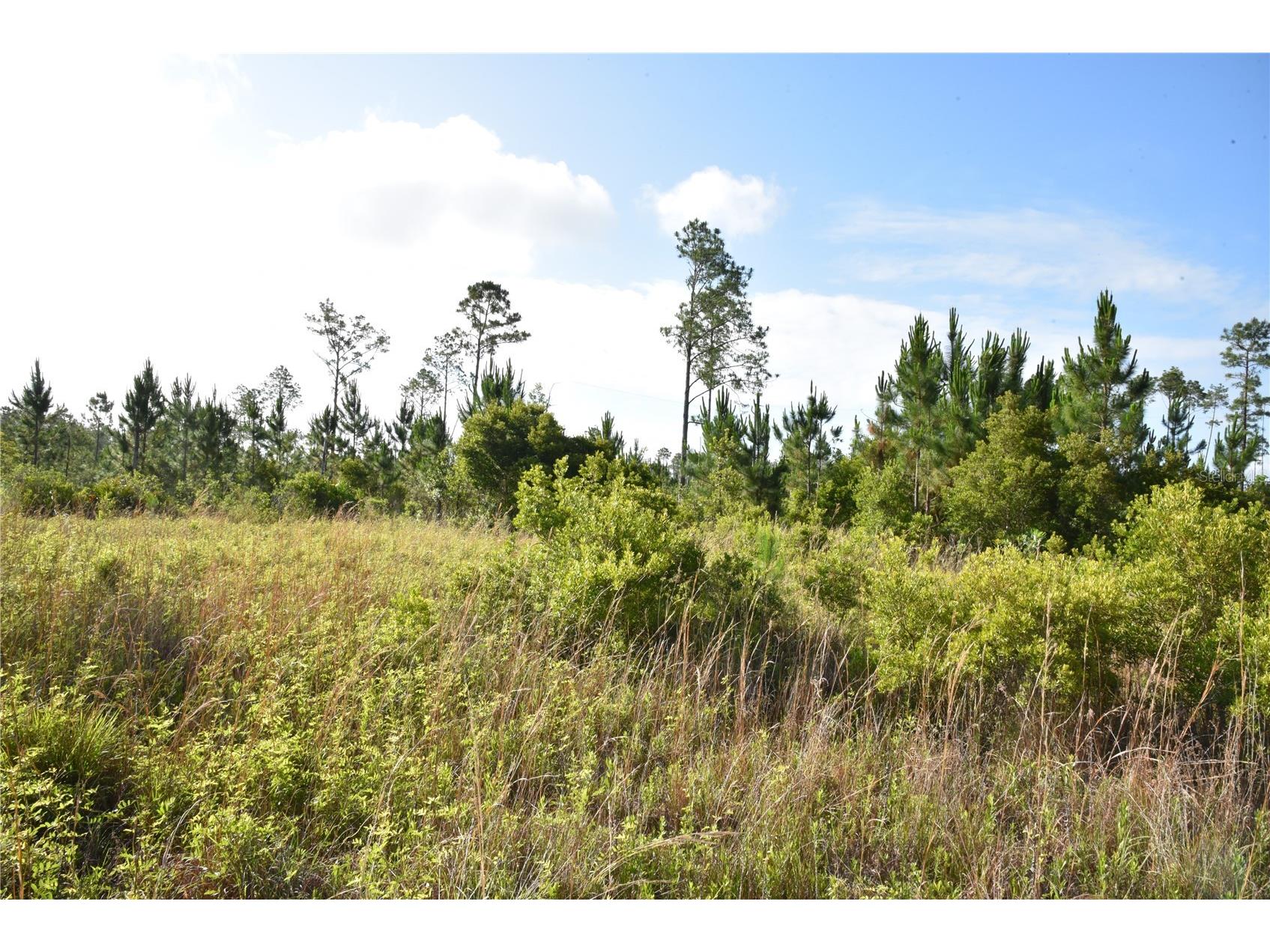 22370 NE 130th Avenue Fort Mc Coy FL 32134 OM725577 image10
