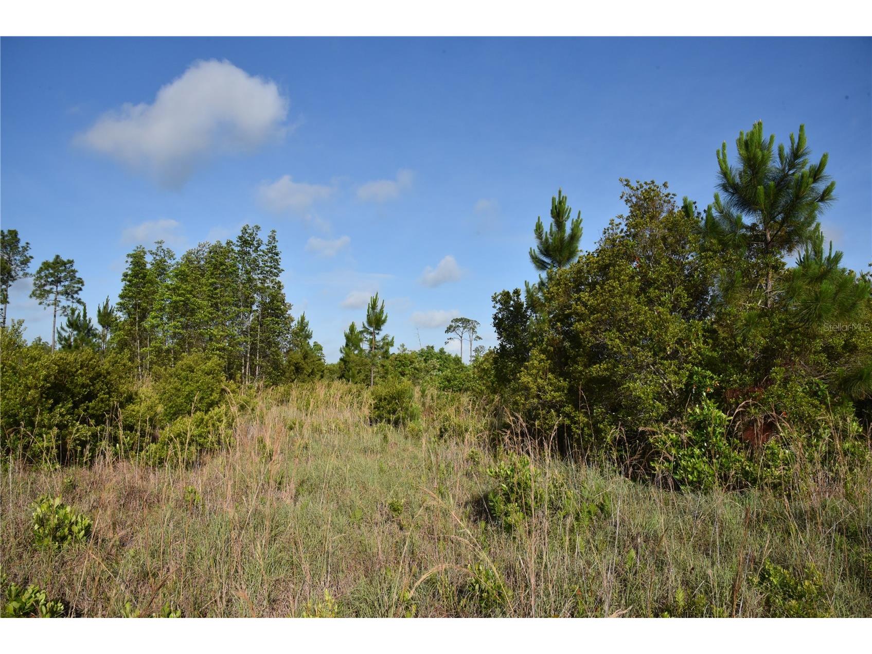 22370 NE 130th Avenue Fort Mc Coy FL 32134 OM725577 image11