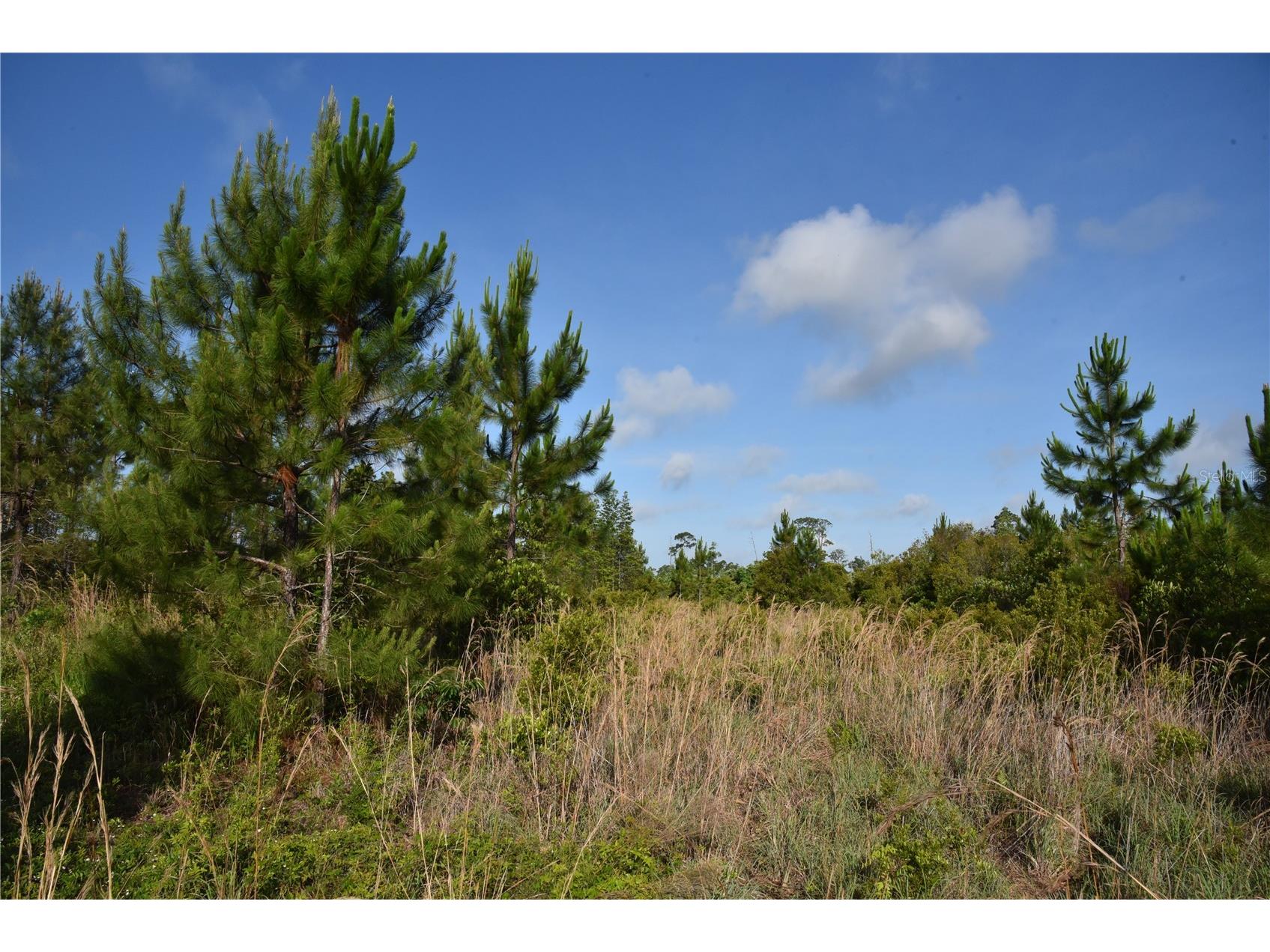 22370 NE 130th Avenue Fort Mc Coy FL 32134 OM725577 image12