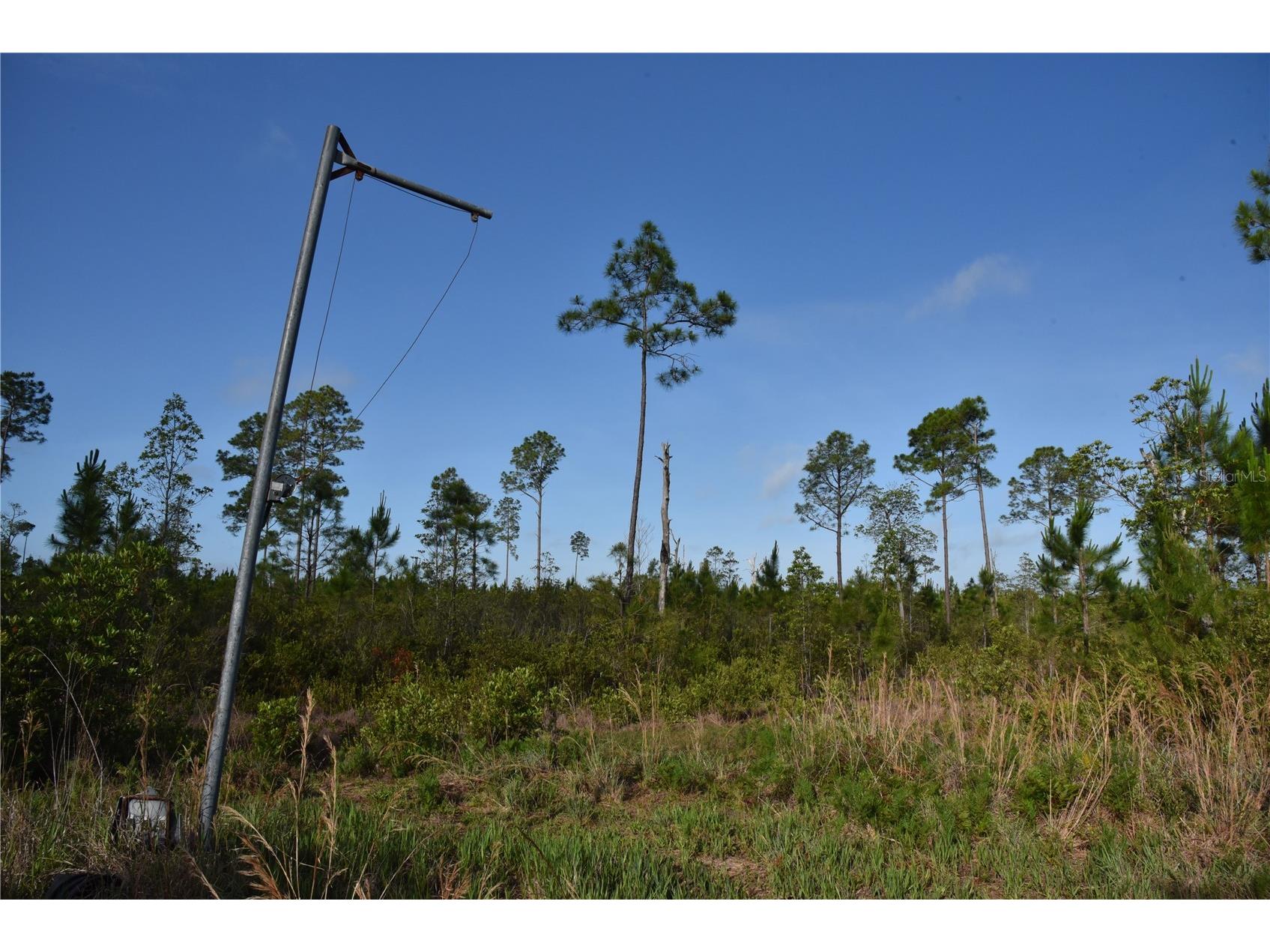 22370 NE 130th Avenue Fort Mc Coy FL 32134 OM725577 image18