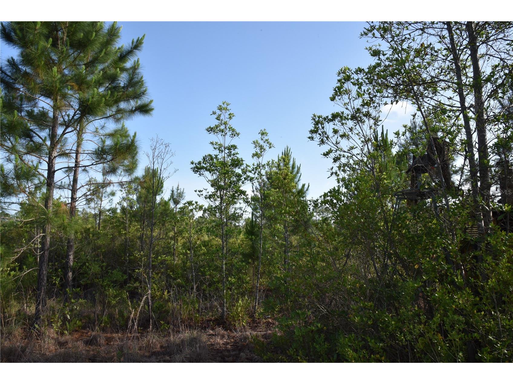 22370 NE 130th Avenue Fort Mc Coy FL 32134 OM725577 image19