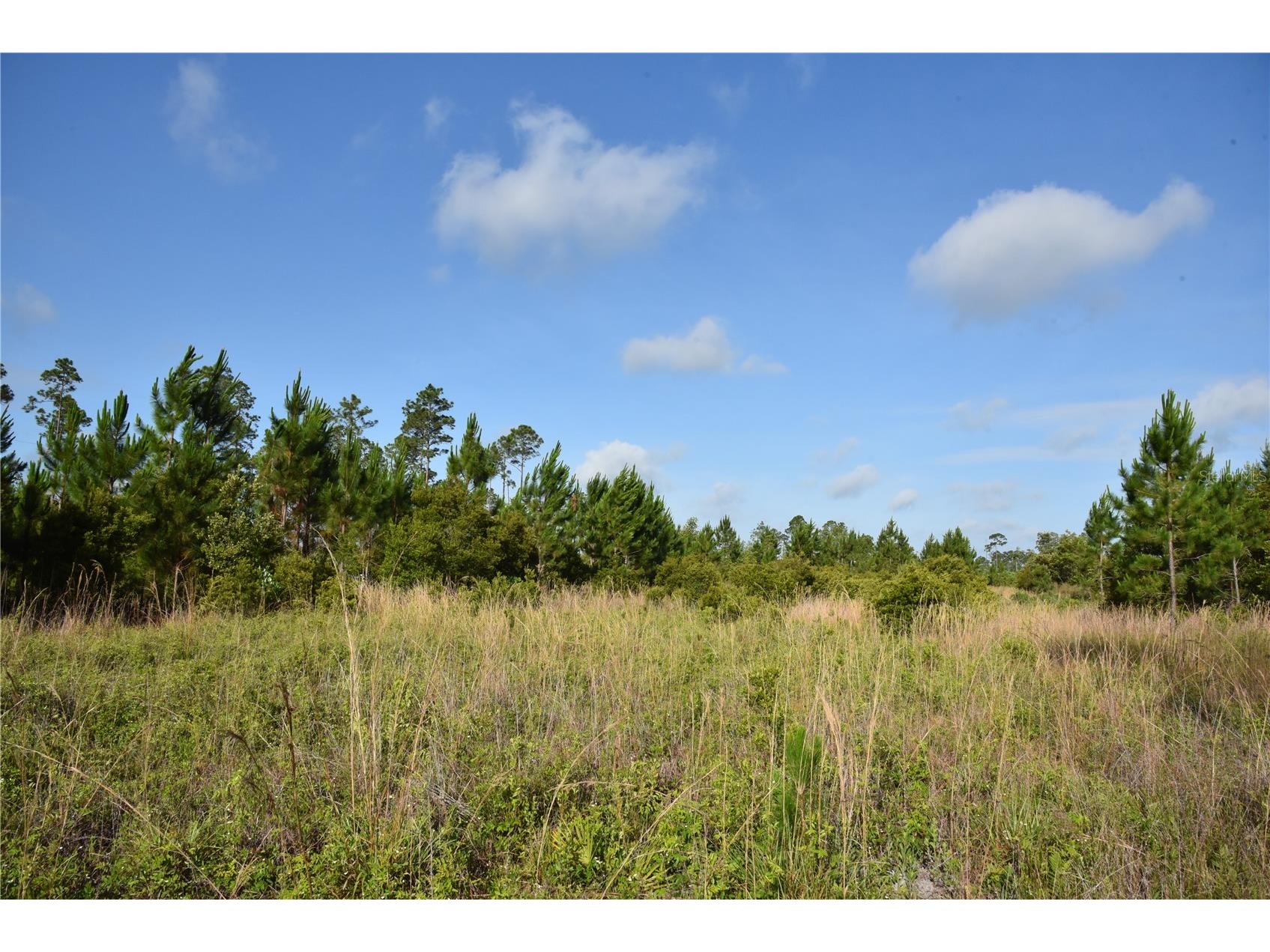 22370 NE 130th Avenue Fort Mc Coy FL 32134 OM725577 image2