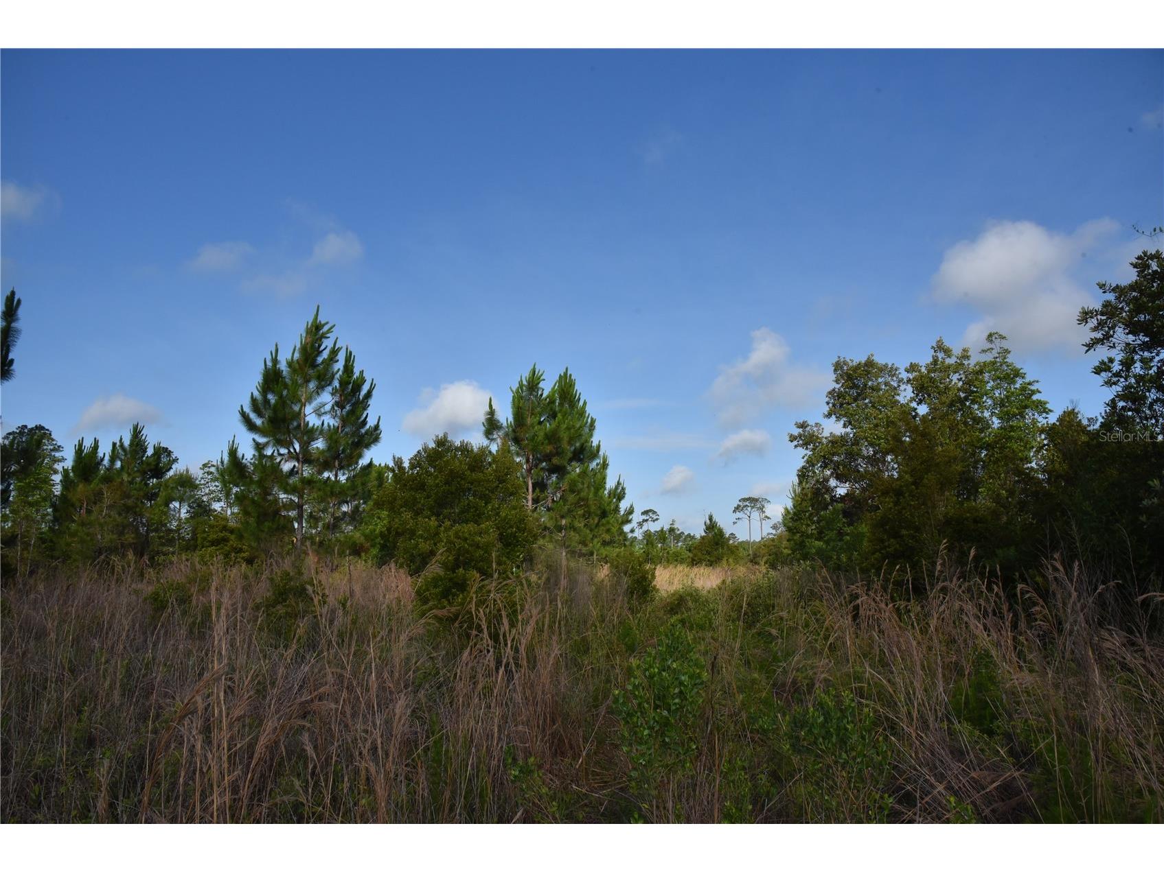 22370 NE 130th Avenue Fort Mc Coy FL 32134 OM725577 image22