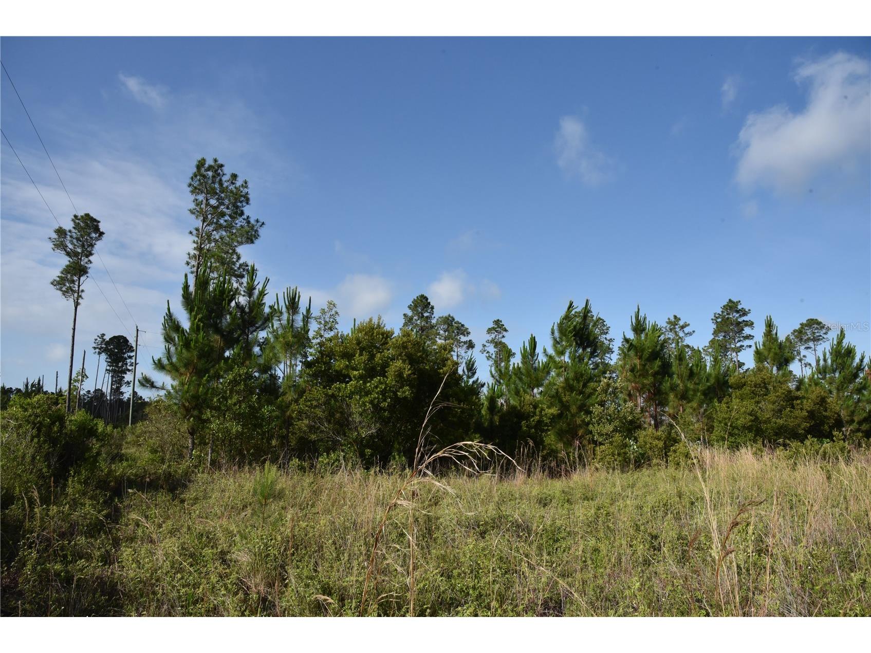 22370 NE 130th Avenue Fort Mc Coy FL 32134 OM725577 image23