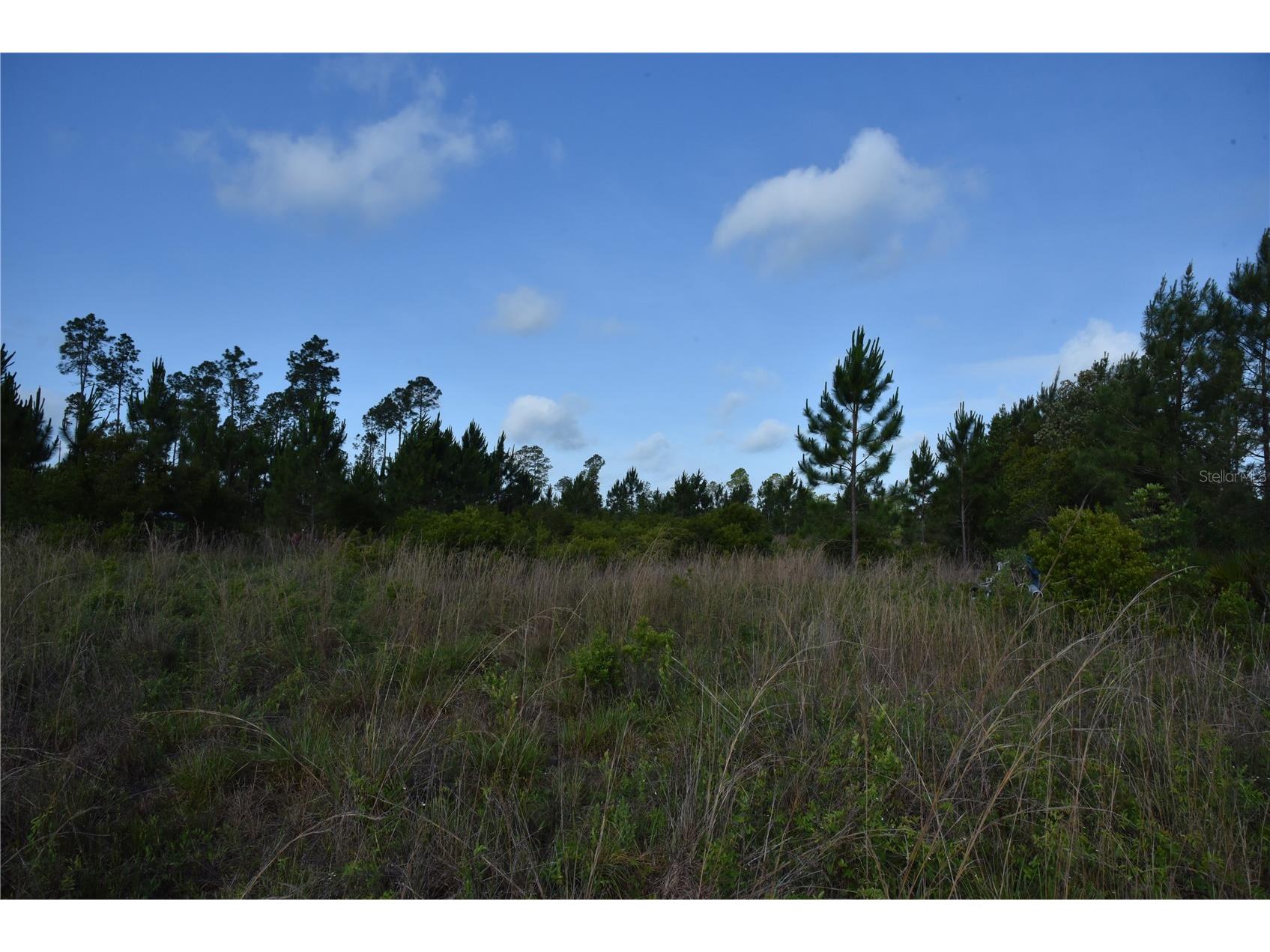 22370 NE 130th Avenue Fort Mc Coy FL 32134 OM725577 image24