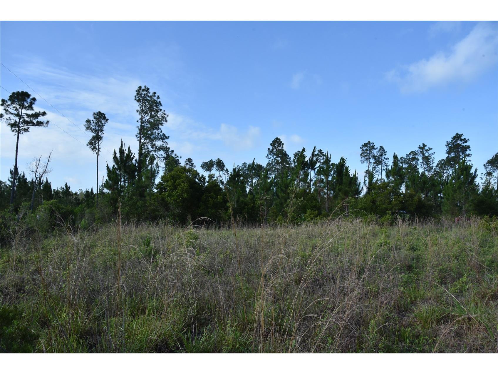 22370 NE 130th Avenue Fort Mc Coy FL 32134 OM725577 image25
