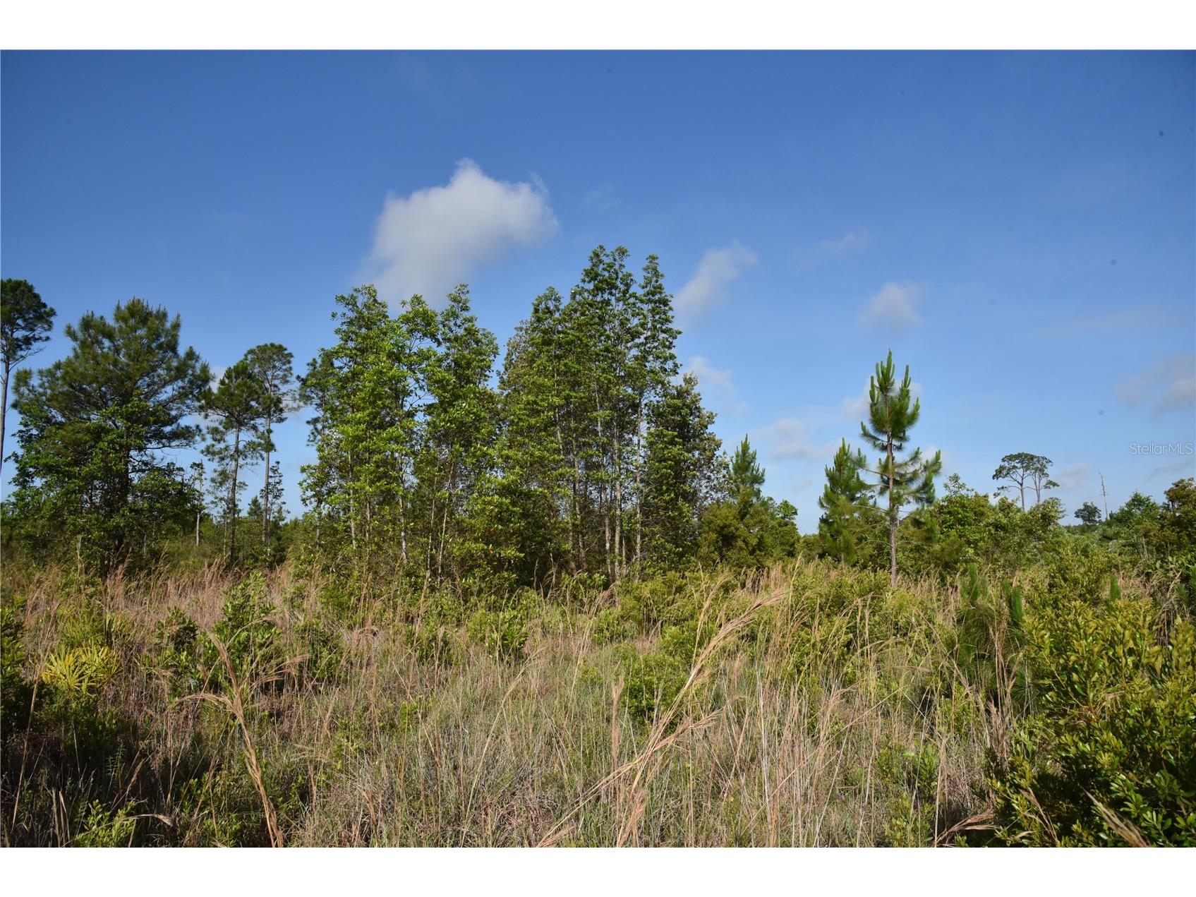 22370 NE 130th Avenue Fort Mc Coy FL 32134 OM725577 image26