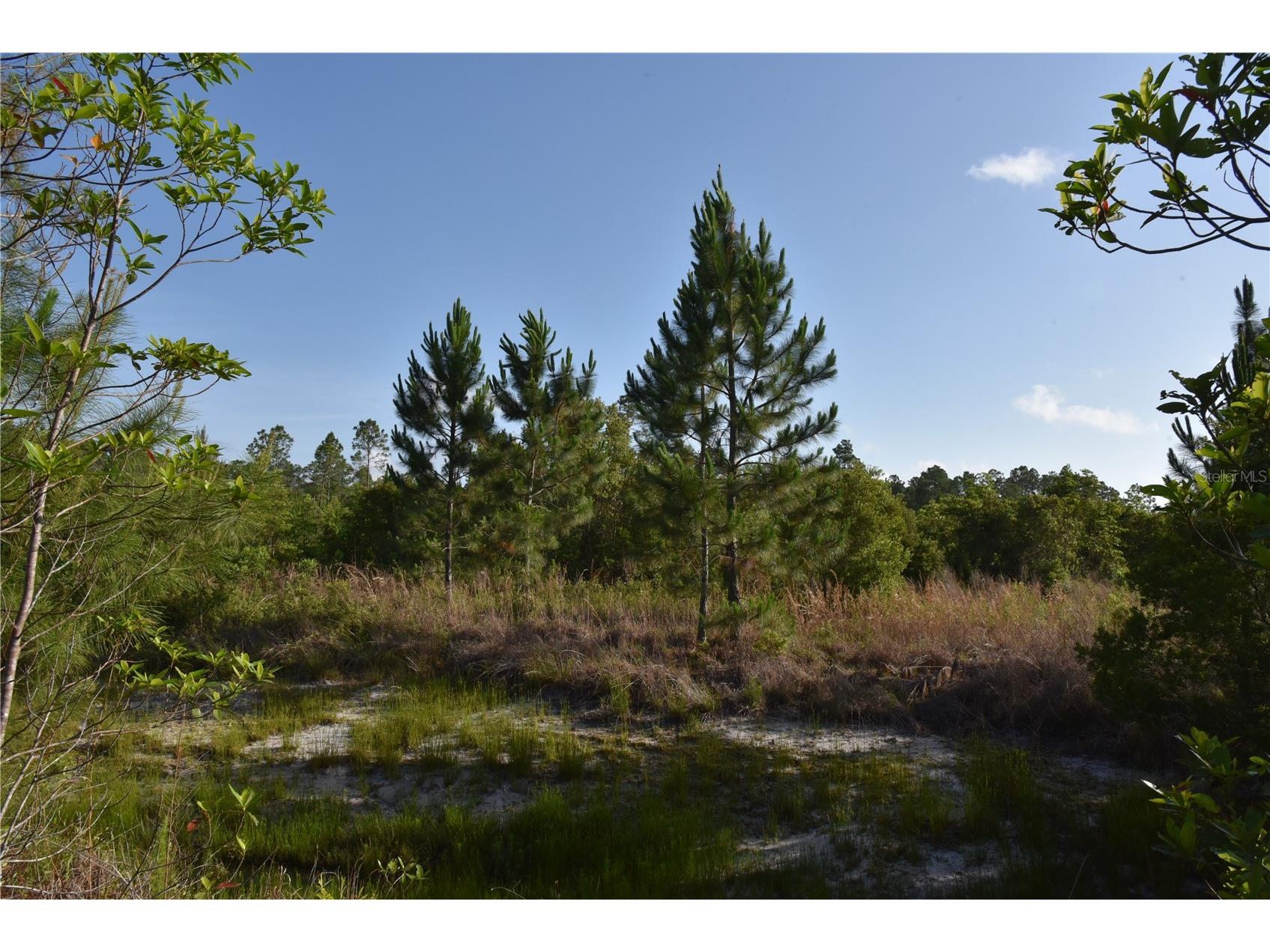22370 NE 130th Avenue Fort Mc Coy FL 32134 OM725577 image28