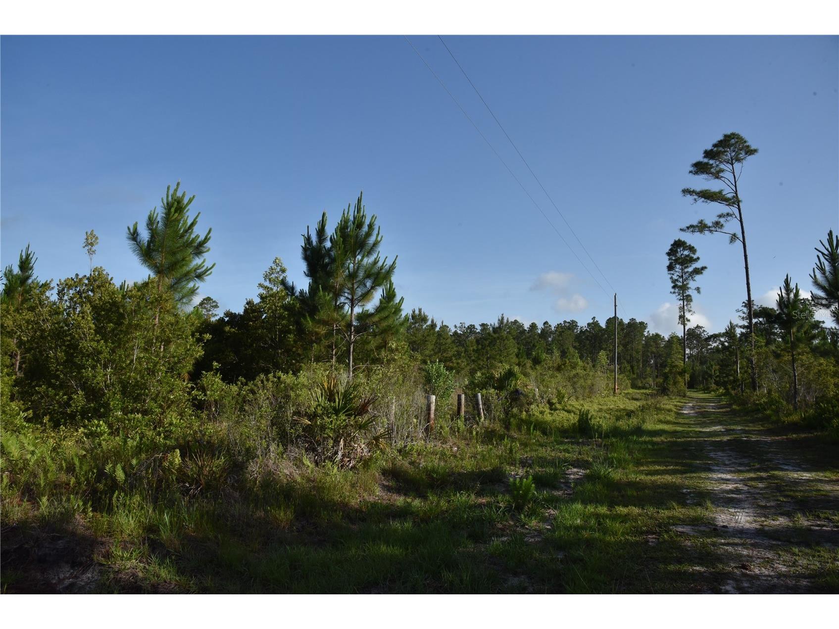 22370 NE 130th Avenue Fort Mc Coy FL 32134 OM725577 image3
