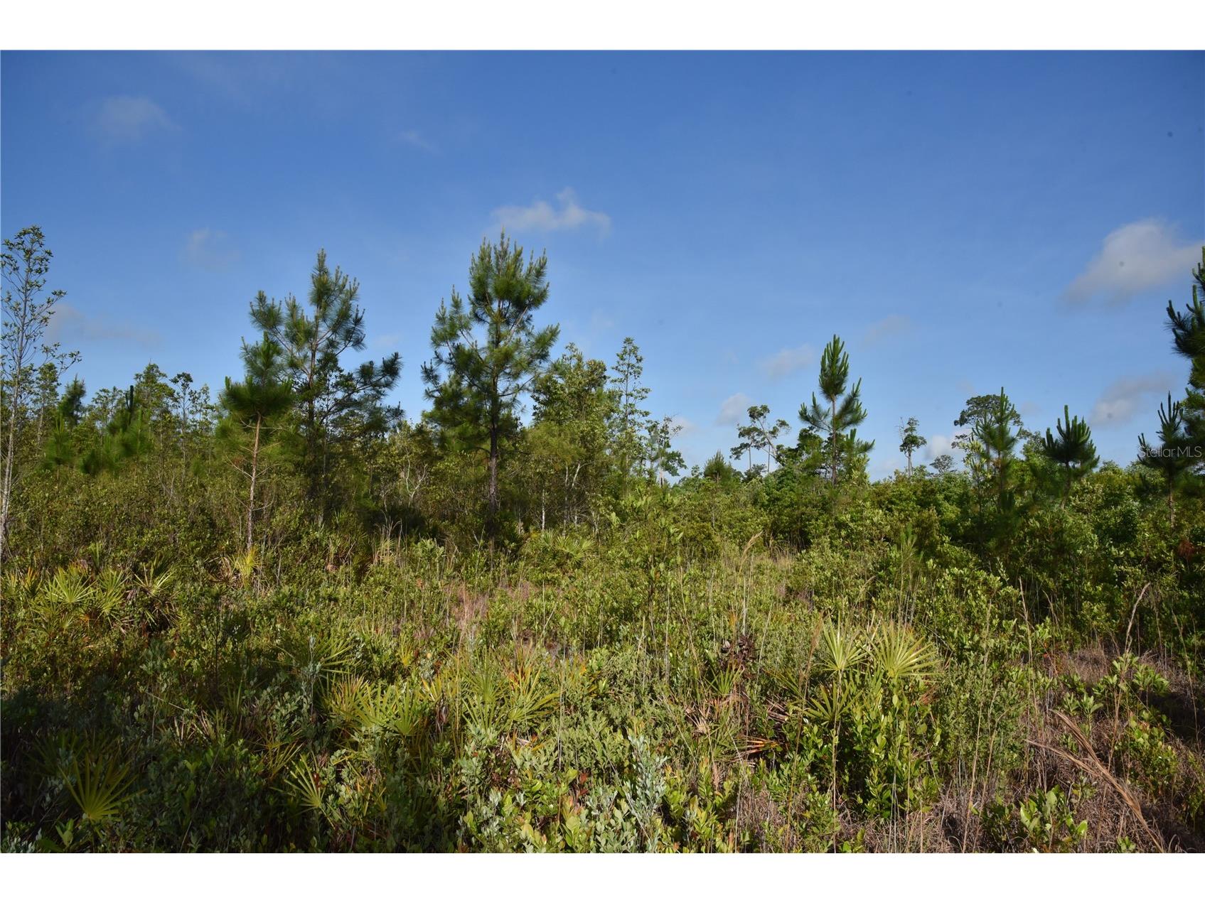 22370 NE 130th Avenue Fort Mc Coy FL 32134 OM725577 image33