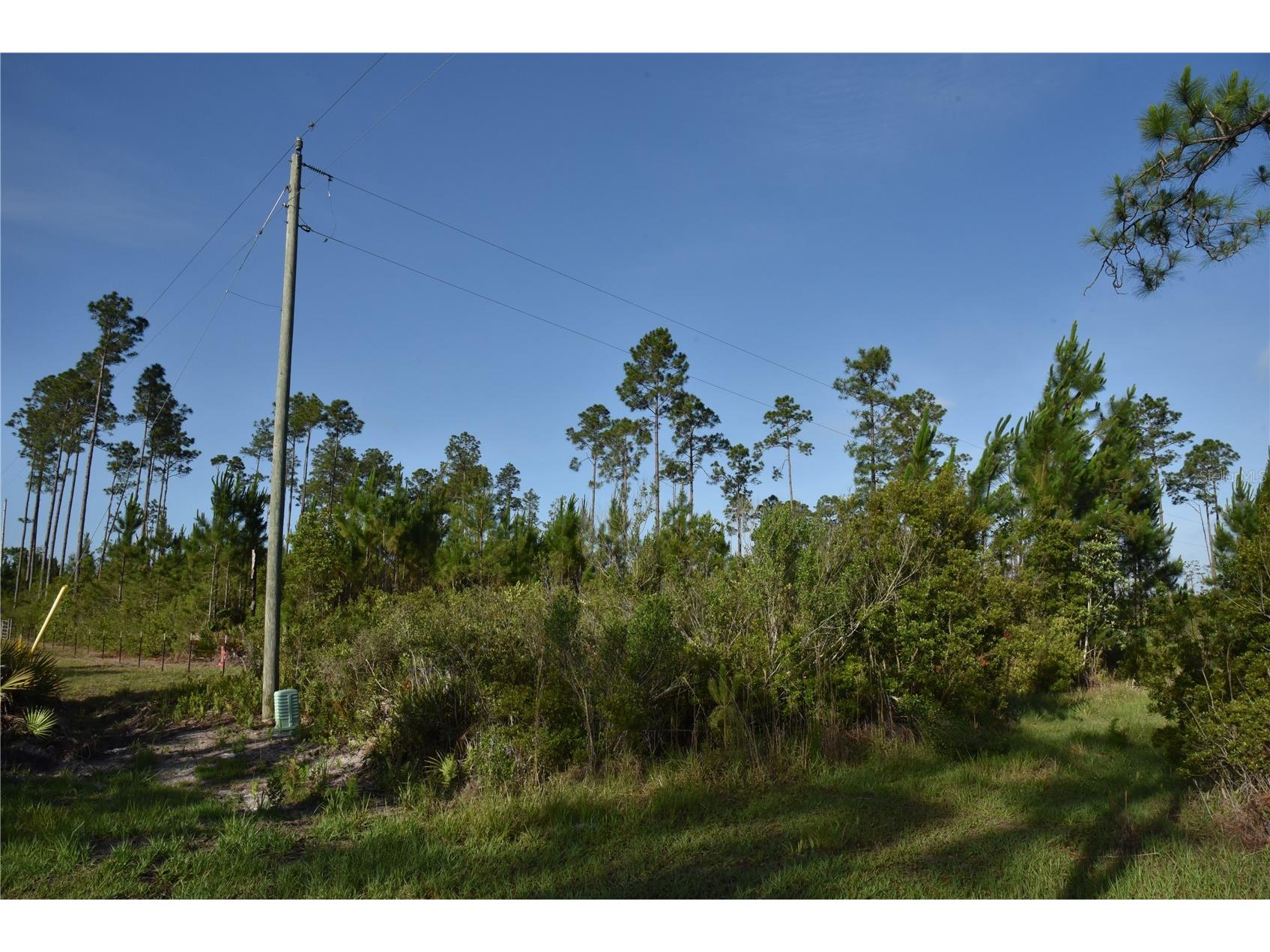 22370 NE 130th Avenue Fort Mc Coy FL 32134 OM725577 image4