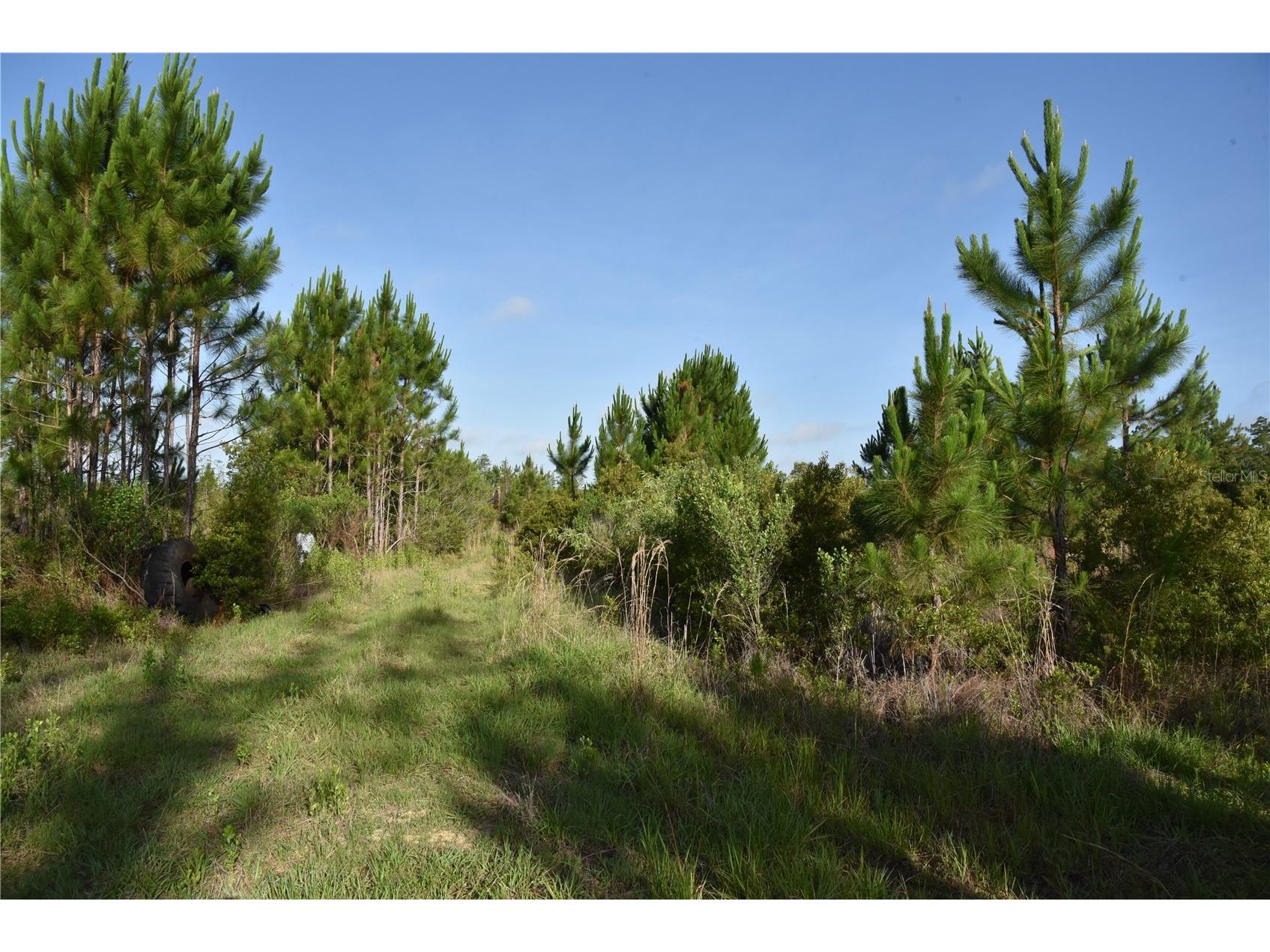 22370 NE 130th Avenue Fort Mc Coy FL 32134 OM725577 image7