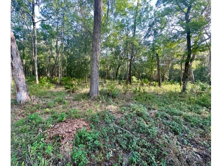 22375 Chenoak Road Brooksville FL 34602 T3445420 image1