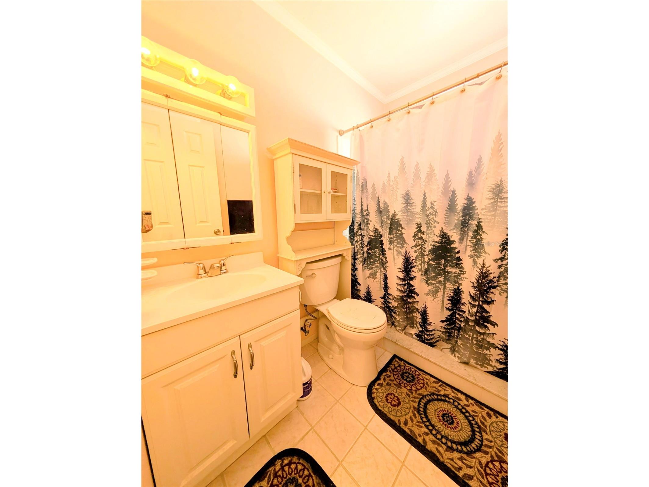 2238 Canal Drive #D34 Bradenton FL 34207 A4686585 image19