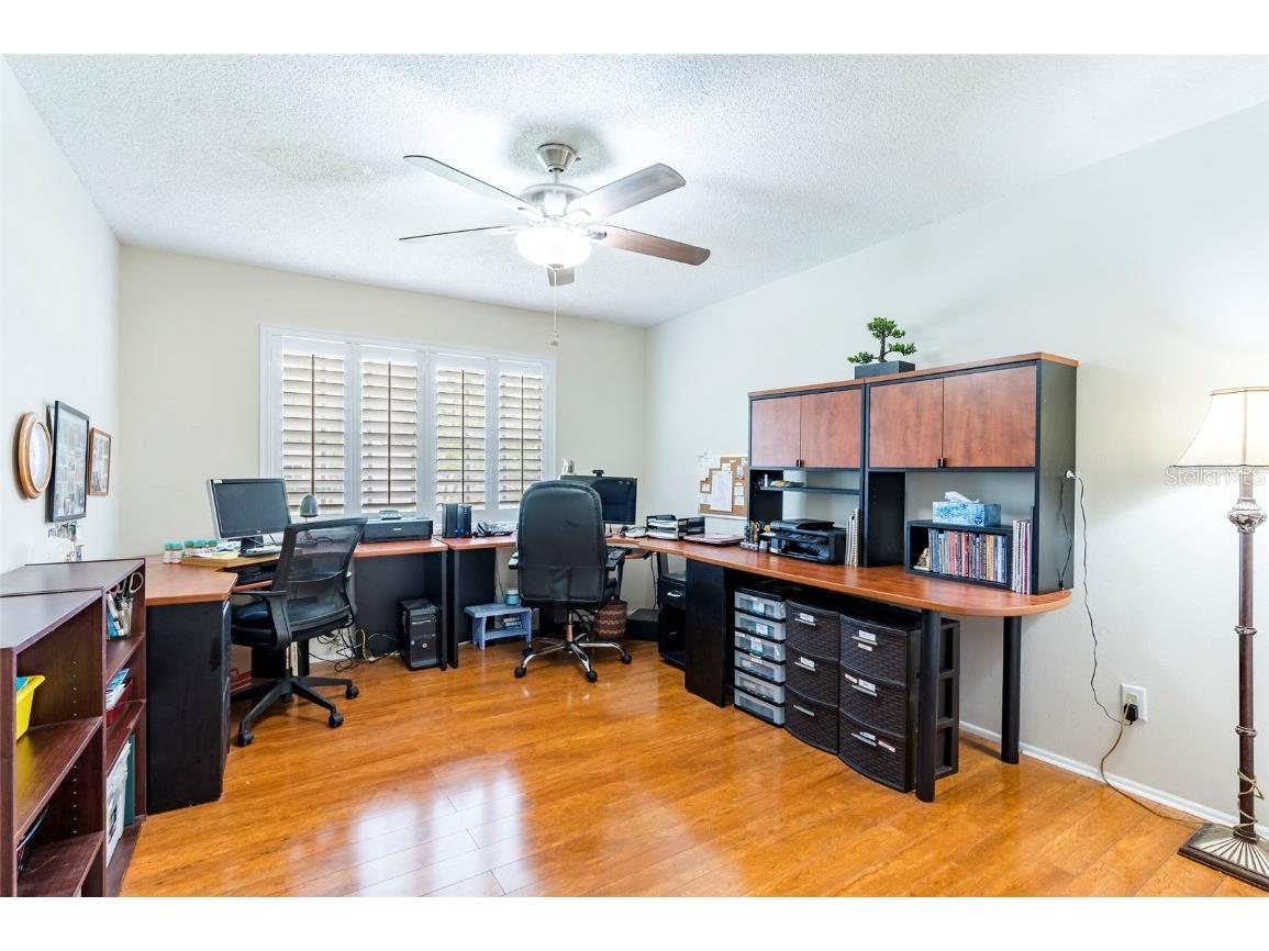 2238 Lark Circle W #D Palm Harbor FL 34684 TB8392086 image16