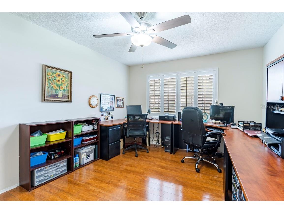 2238 Lark Circle W #D Palm Harbor FL 34684 TB8392086 image17