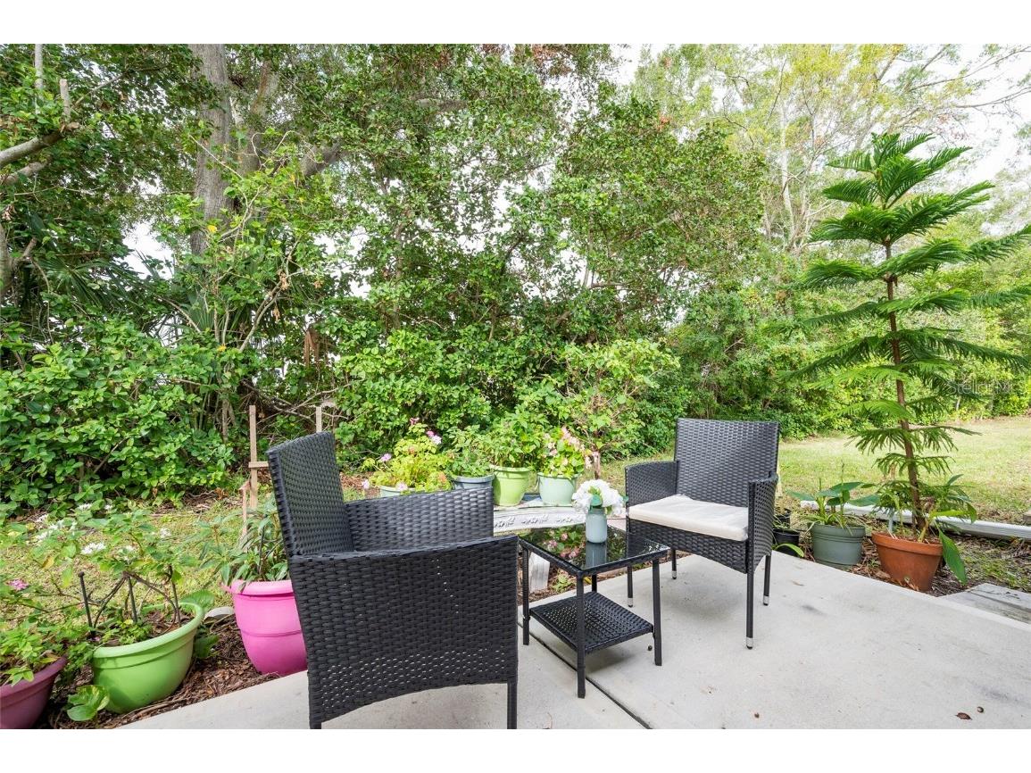 2238 Lark Circle W #D Palm Harbor FL 34684 TB8392086 image18