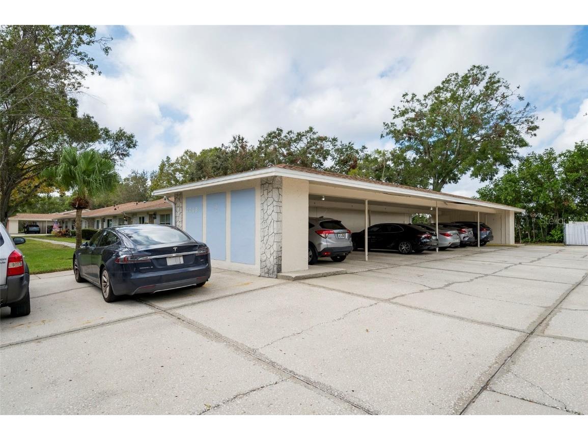 2238 Lark Circle W #D Palm Harbor FL 34684 TB8392086 image19