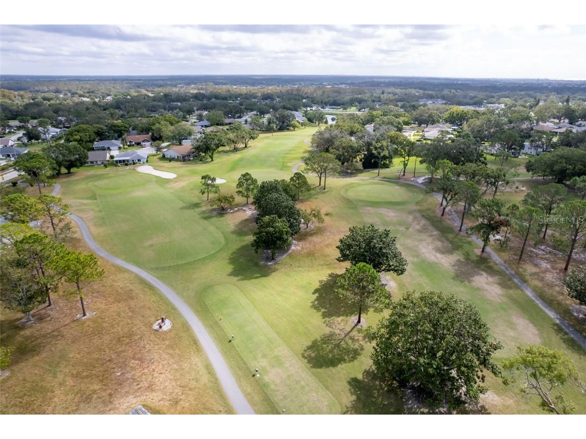 2238 Lark Circle W #D Palm Harbor FL 34684 TB8392086 image20