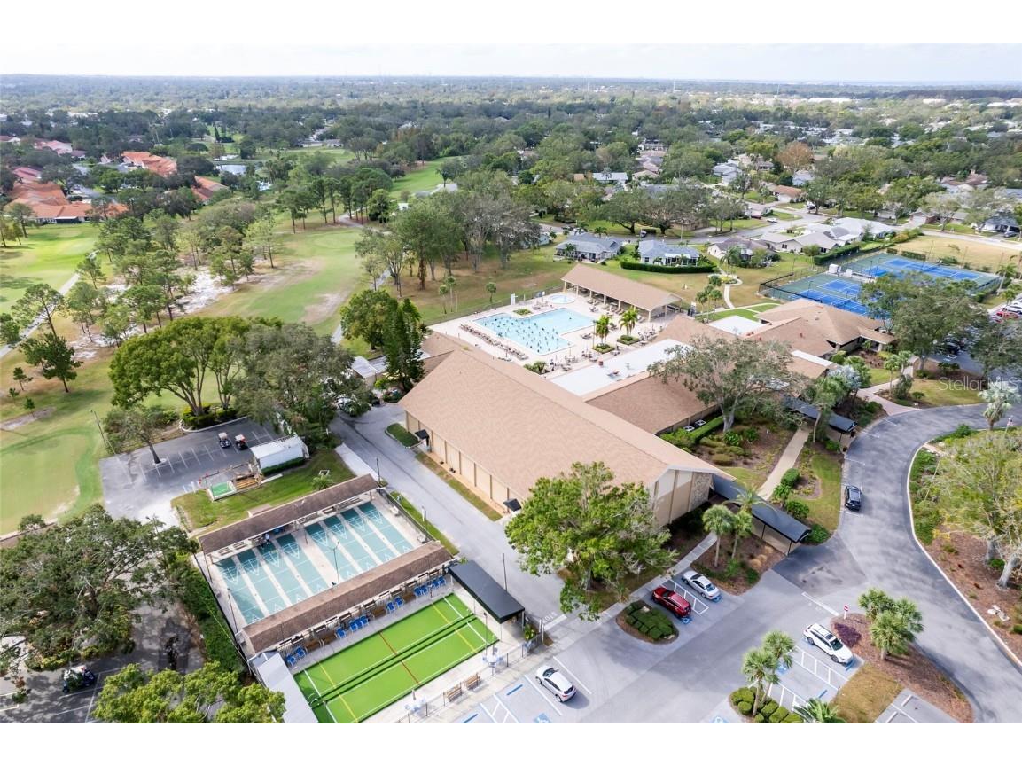 2238 Lark Circle W #D Palm Harbor FL 34684 TB8392086 image21