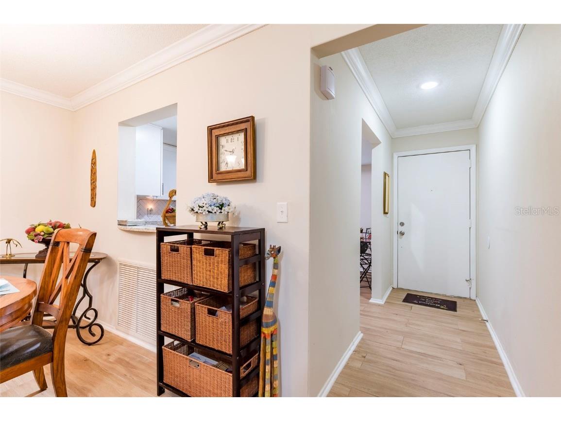 2238 Lark Circle W #D Palm Harbor FL 34684 TB8392086 image5