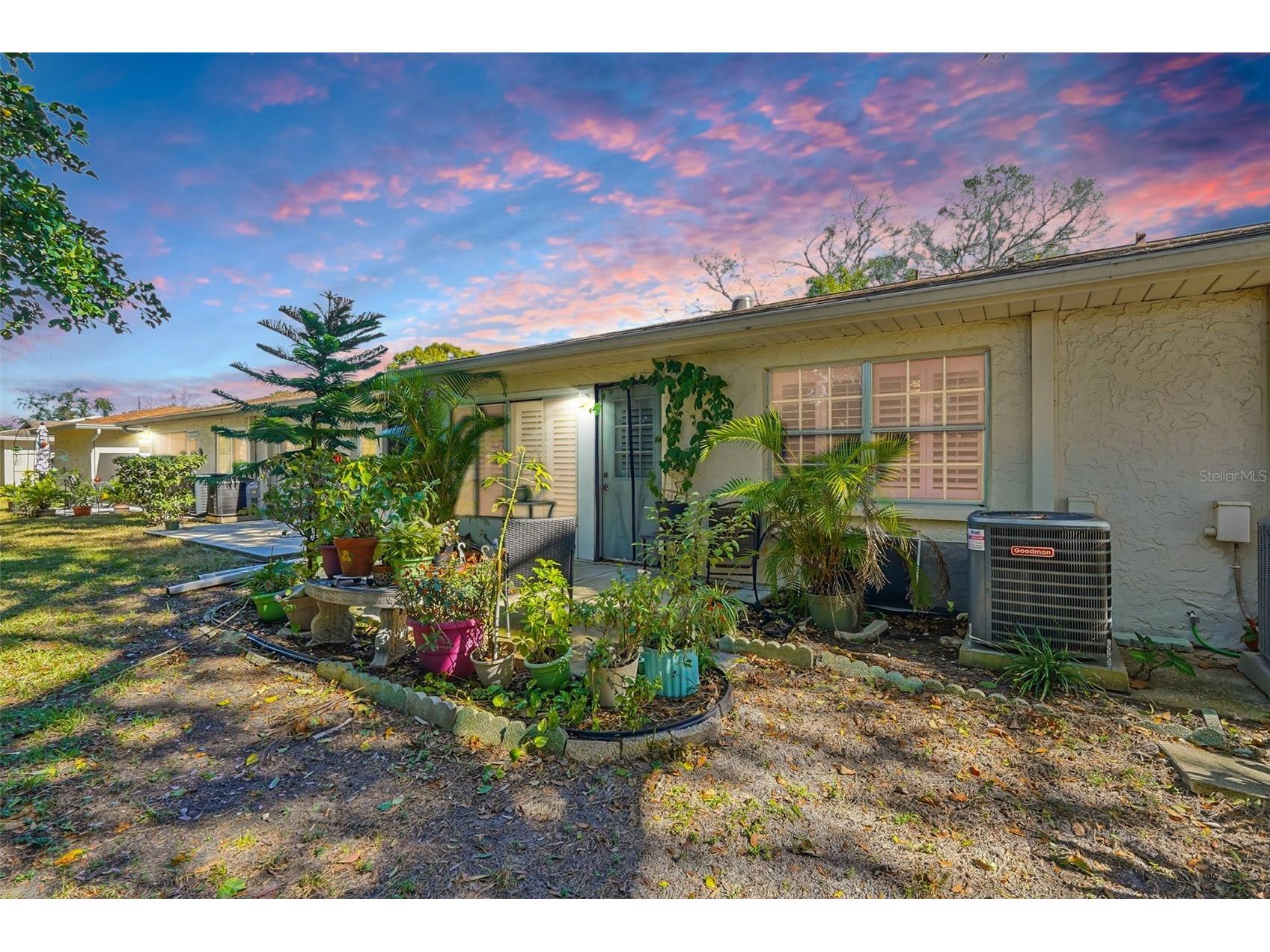 2238 Lark Circle W #D Palm Harbor FL 34684 TB8466844 image19