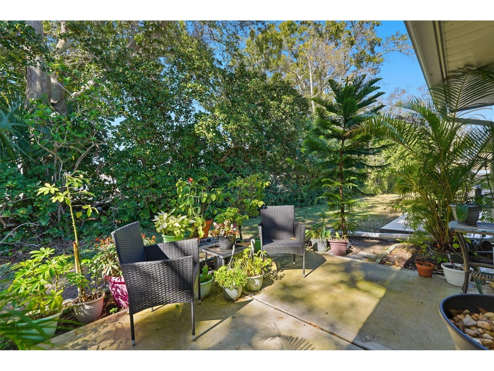 2238 Lark Circle W #D Palm Harbor FL 34684 TB8466844 image20