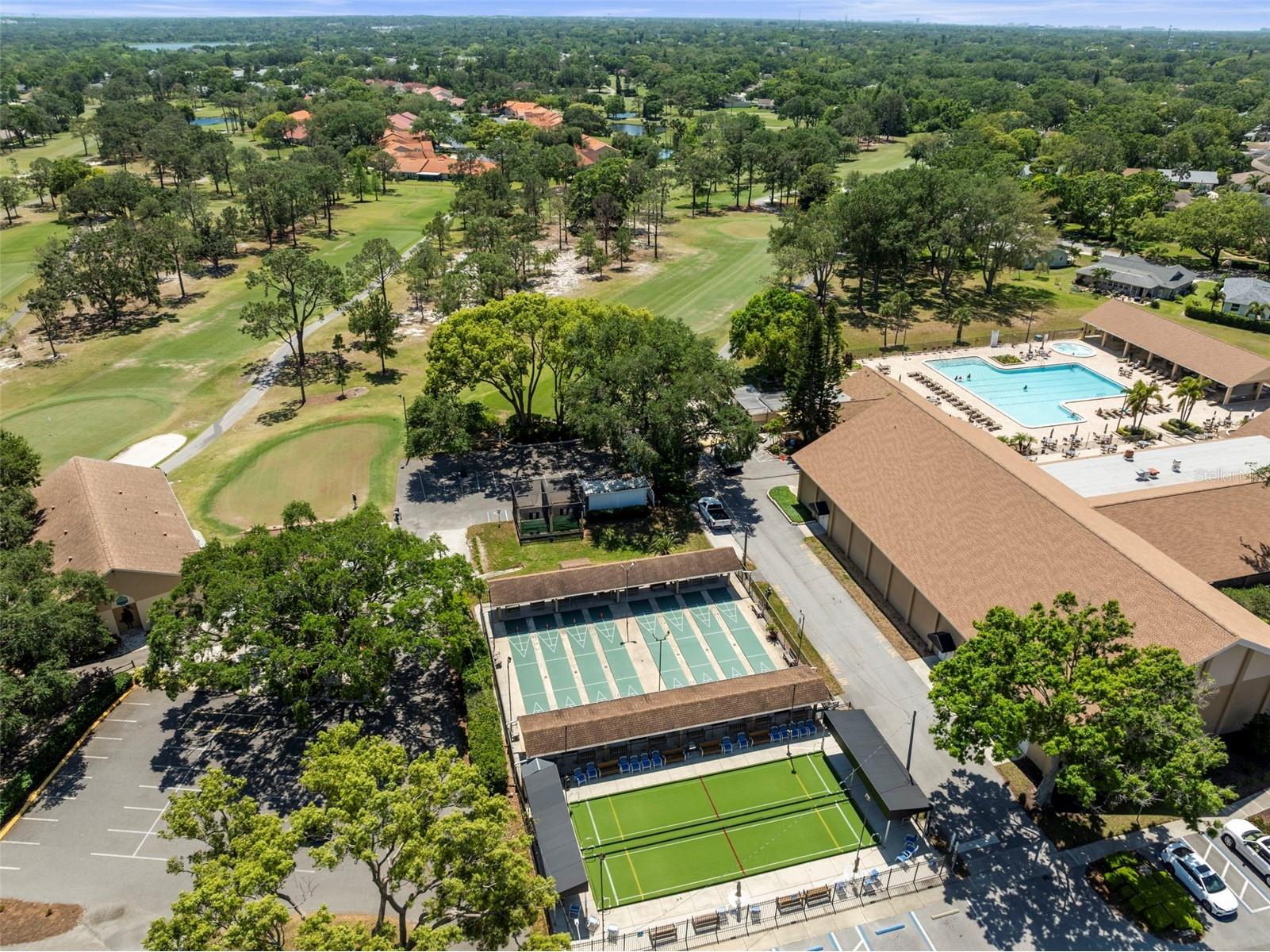 2238 Lark Circle W #D Palm Harbor FL 34684 TB8466844 image28