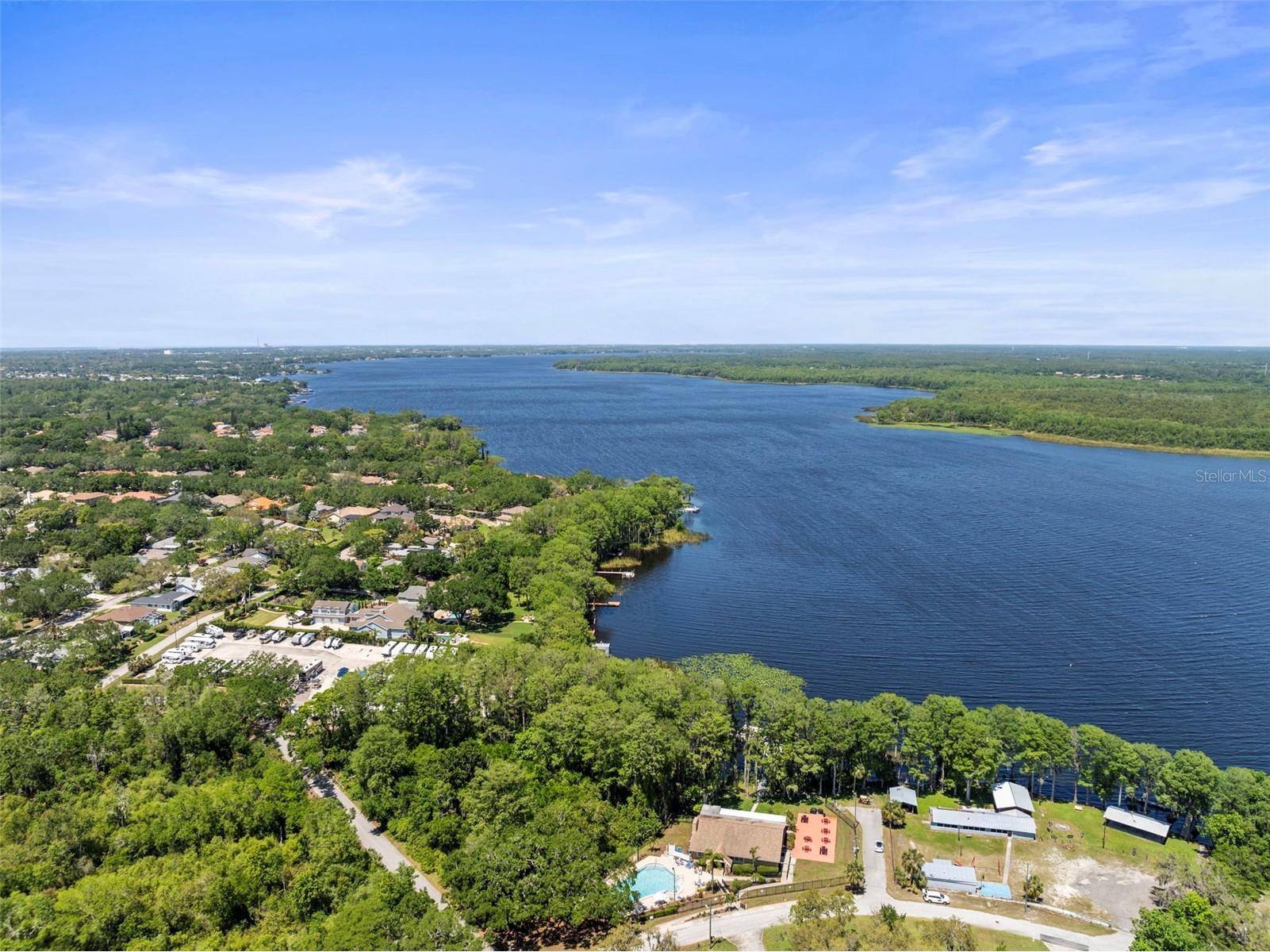 2238 Lark Circle W #D Palm Harbor FL 34684 TB8466844 image30