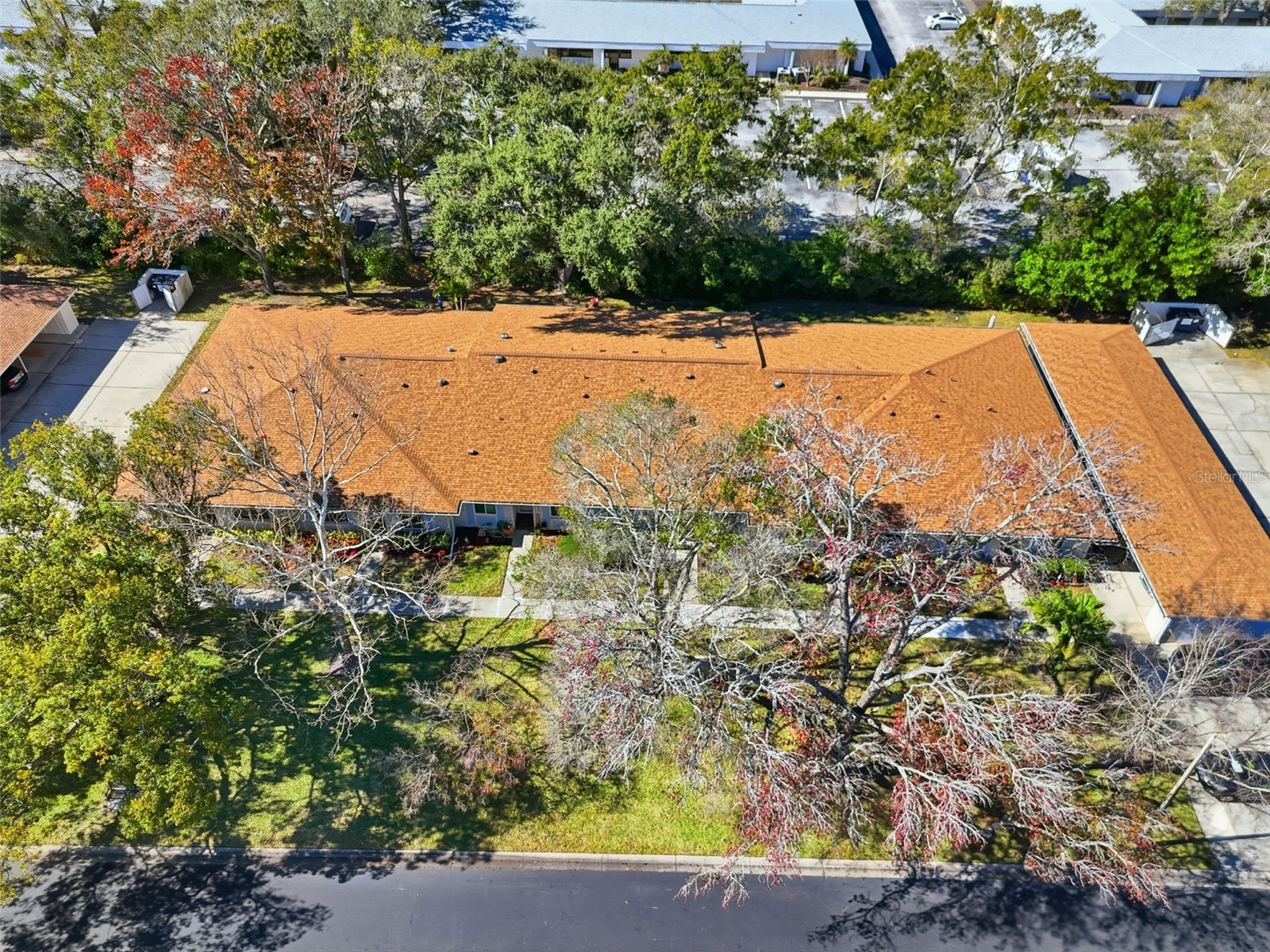 2238 Lark Circle W #D Palm Harbor FL 34684 TB8466844 image33