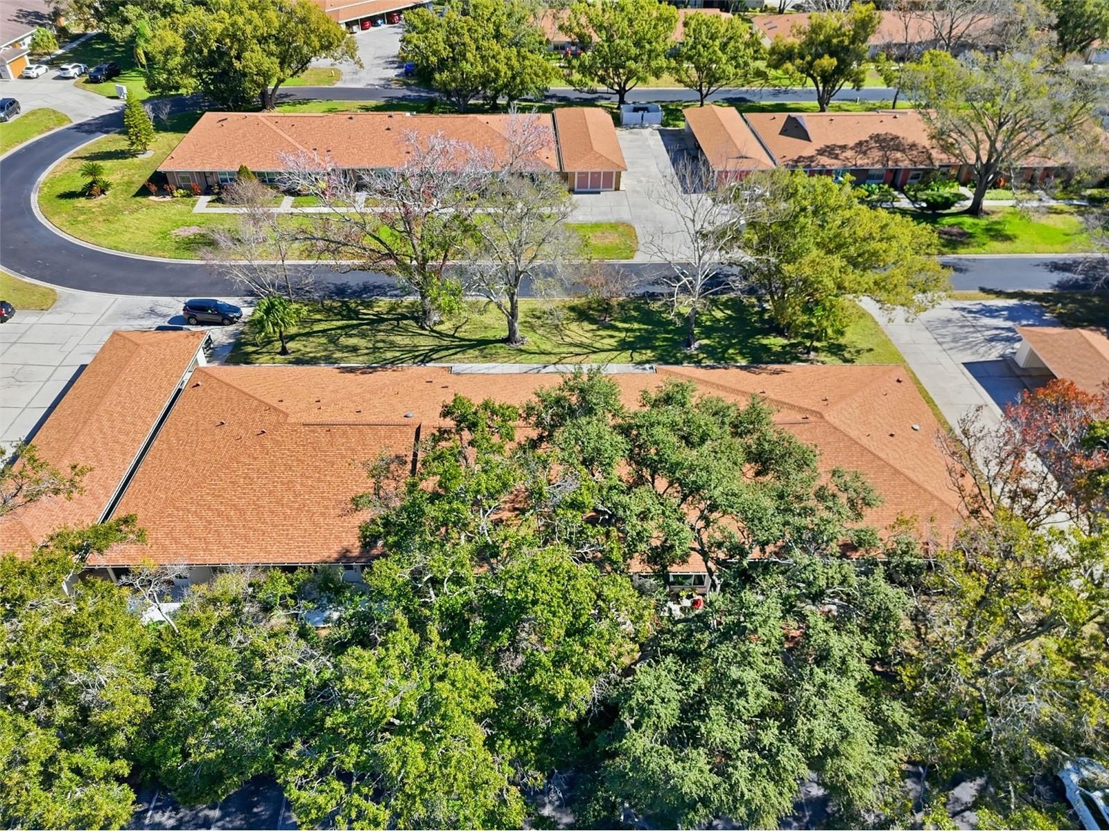 2238 Lark Circle W #D Palm Harbor FL 34684 TB8466844 image34