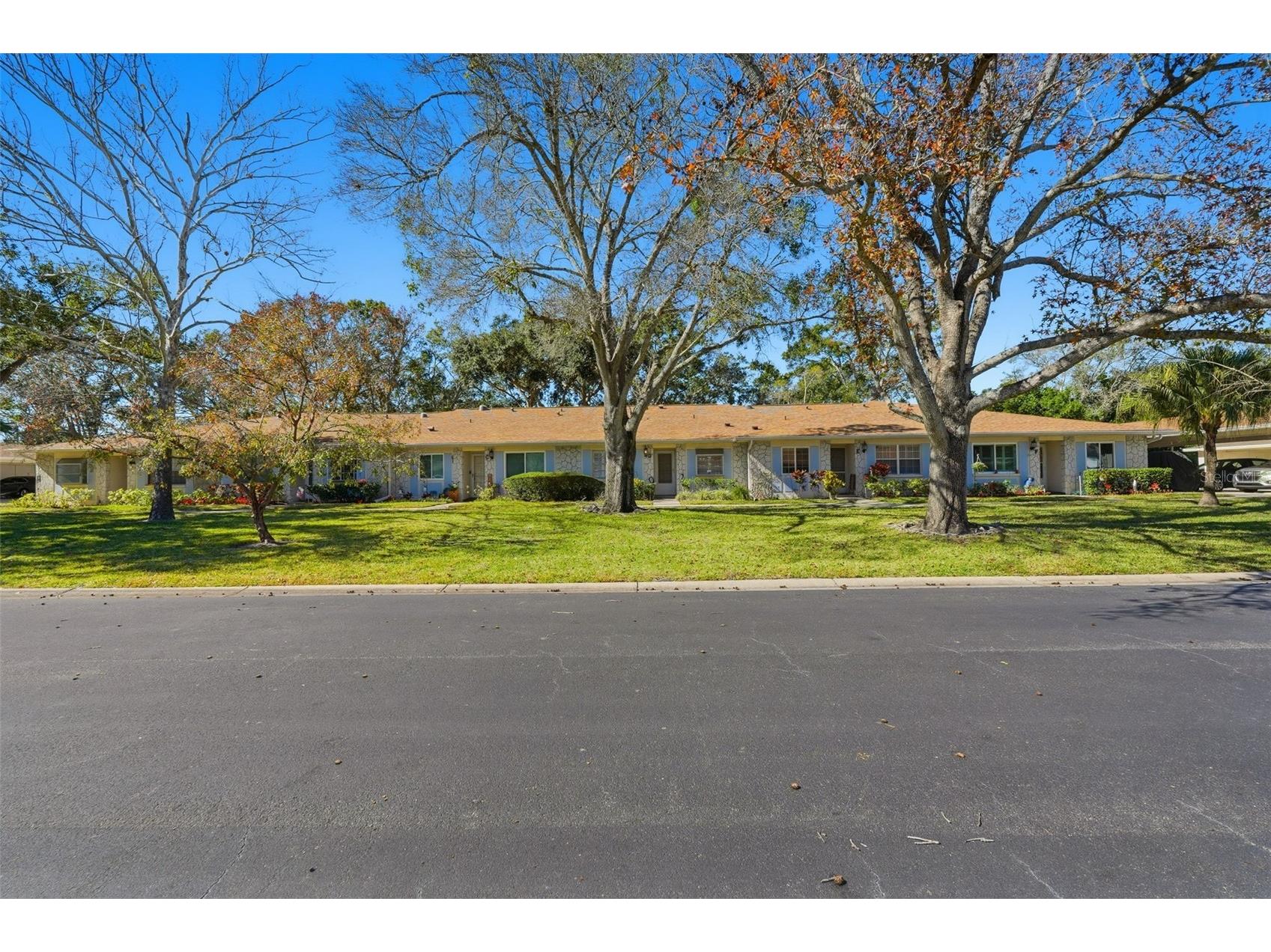 2238 Lark Circle W #D Palm Harbor FL 34684 TB8466844 image35