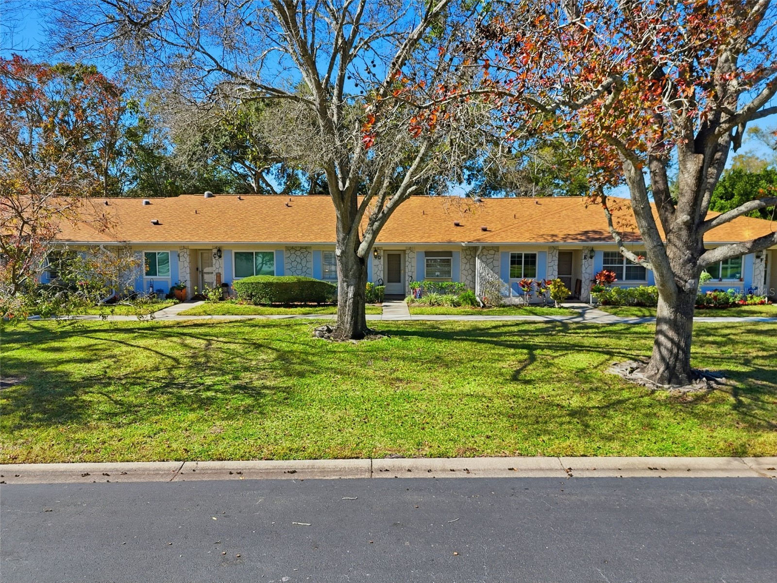 2238 Lark Circle W #D Palm Harbor FL 34684 TB8466844 image36