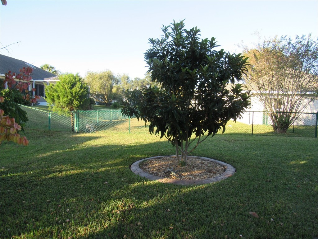 2238 NW 50th Avenue Ocala FL 34482 OM713551 image14