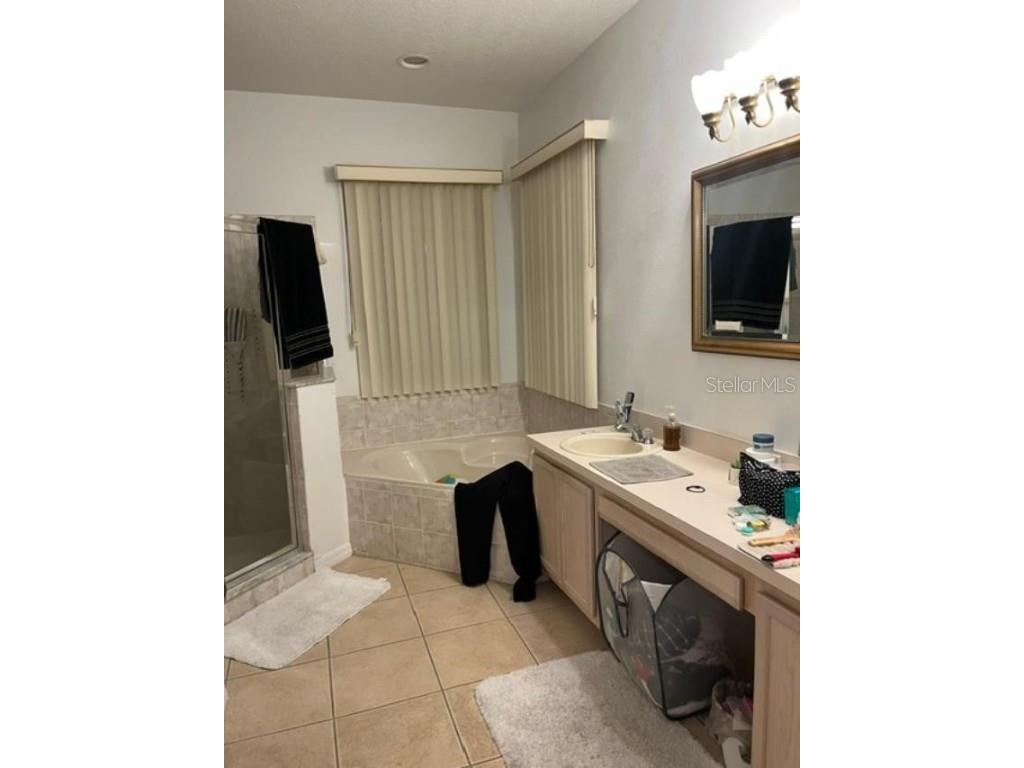 2238 Windcrest Lake Circle Orlando FL 32824 V4941282 image12