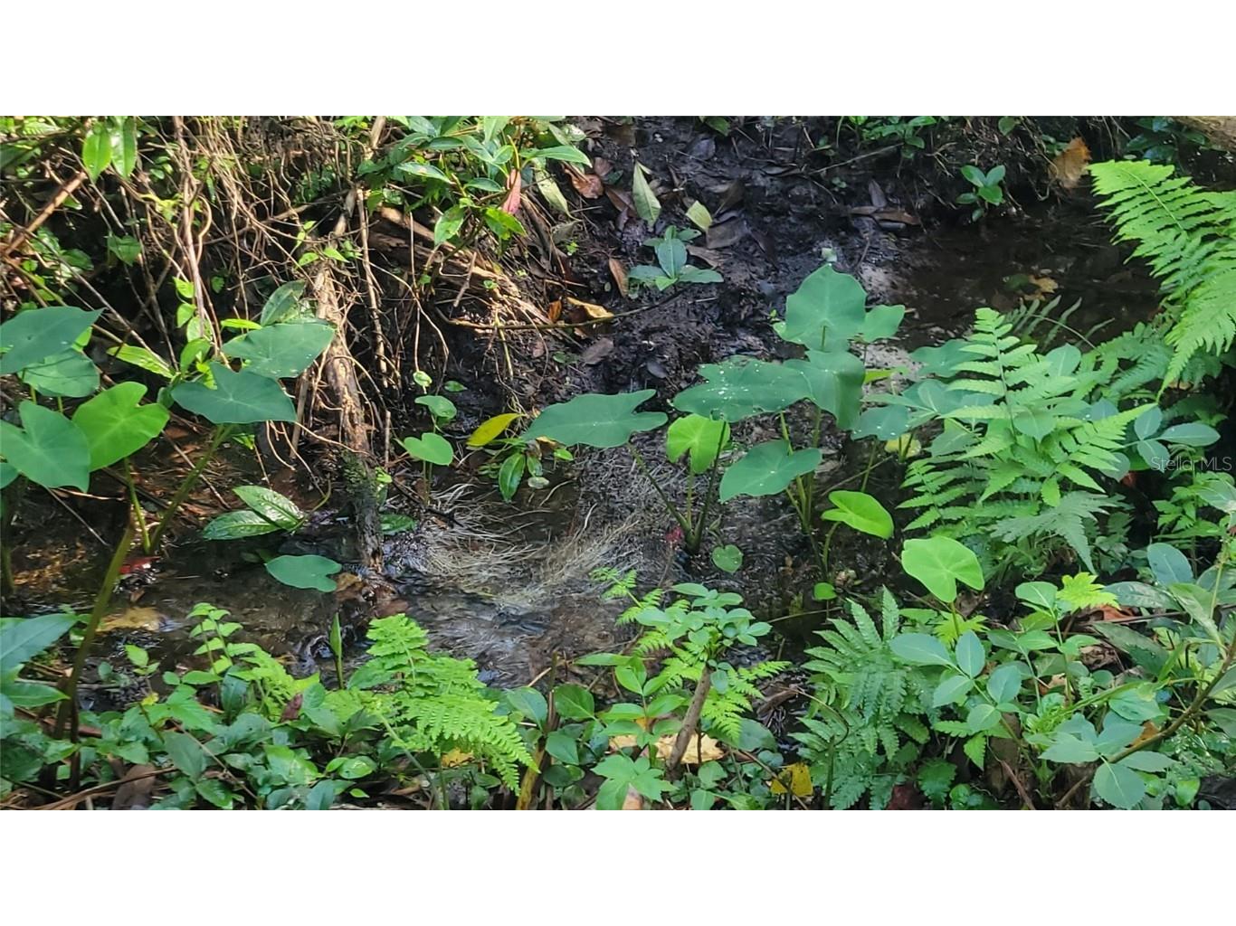 22380 Powell Road Brooksville FL 34602 TB8460672 image33