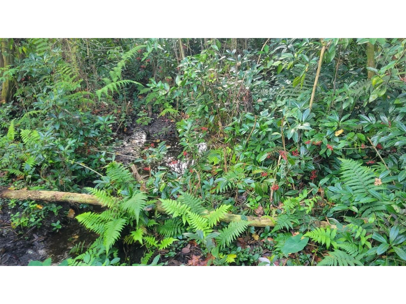 22380 Powell Road Brooksville FL 34602 TB8460672 image34