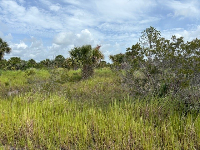 2239 Utopia Avenue SW Palm Bay FL 32908 V4947785 image2