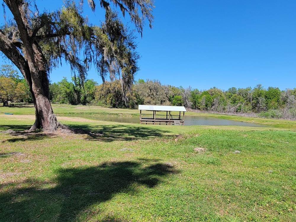22397 Mondon Hill Road Brooksville FL 34601 W7884115 image41