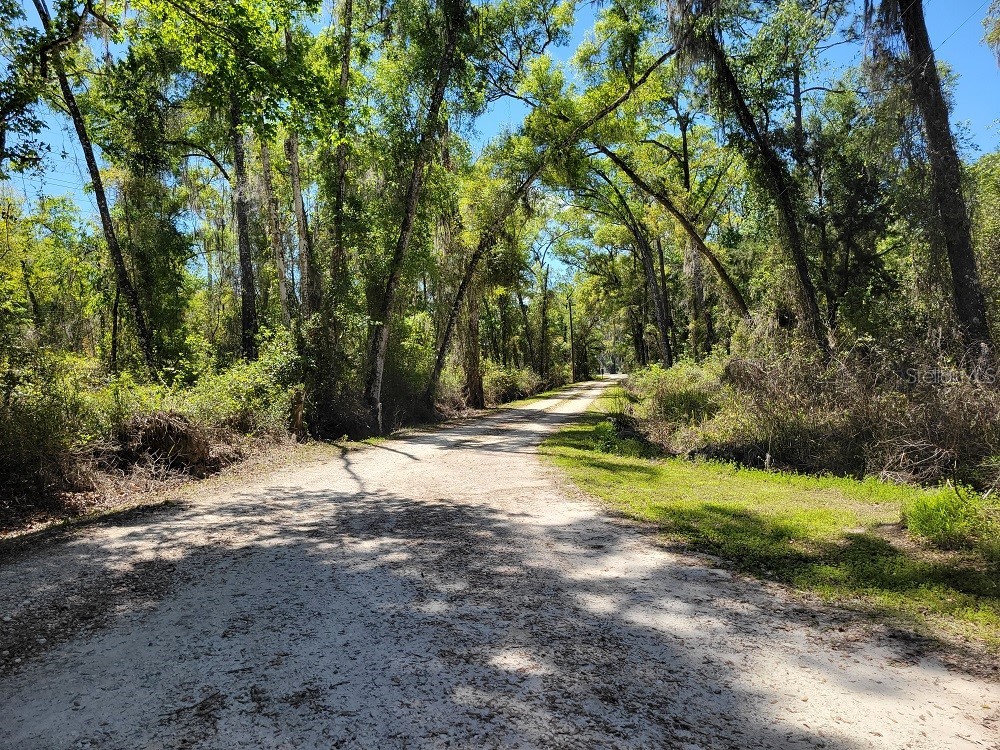 22397 Mondon Hill Road Brooksville FL 34601 W7884115 image45