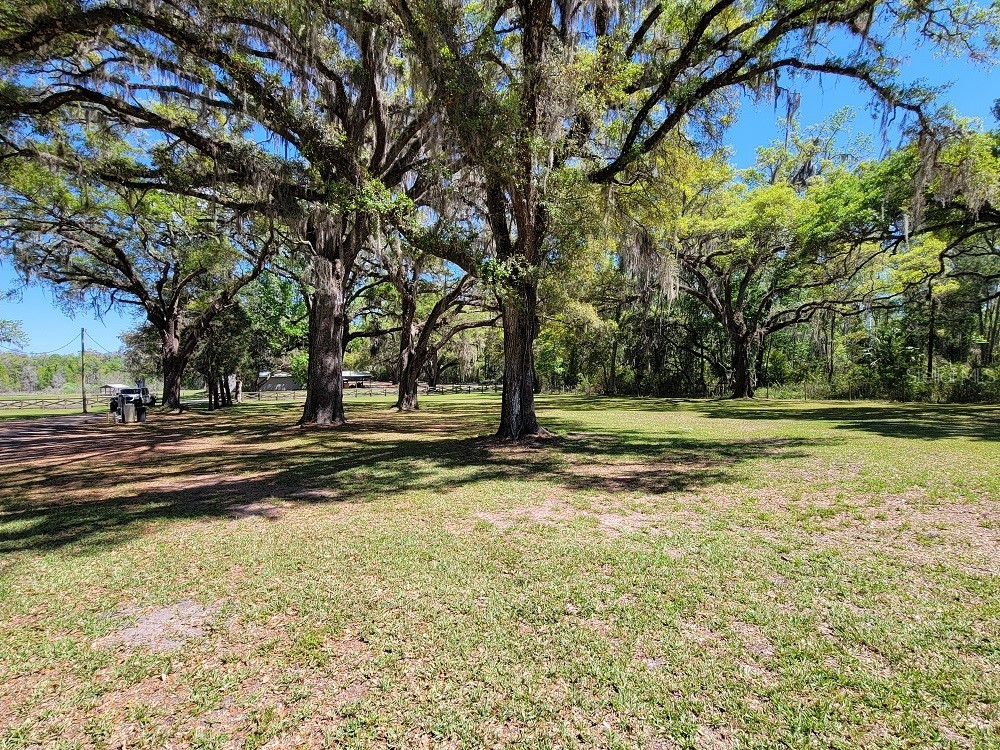 22397 Mondon Hill Road Brooksville FL 34601 W7884115 image46